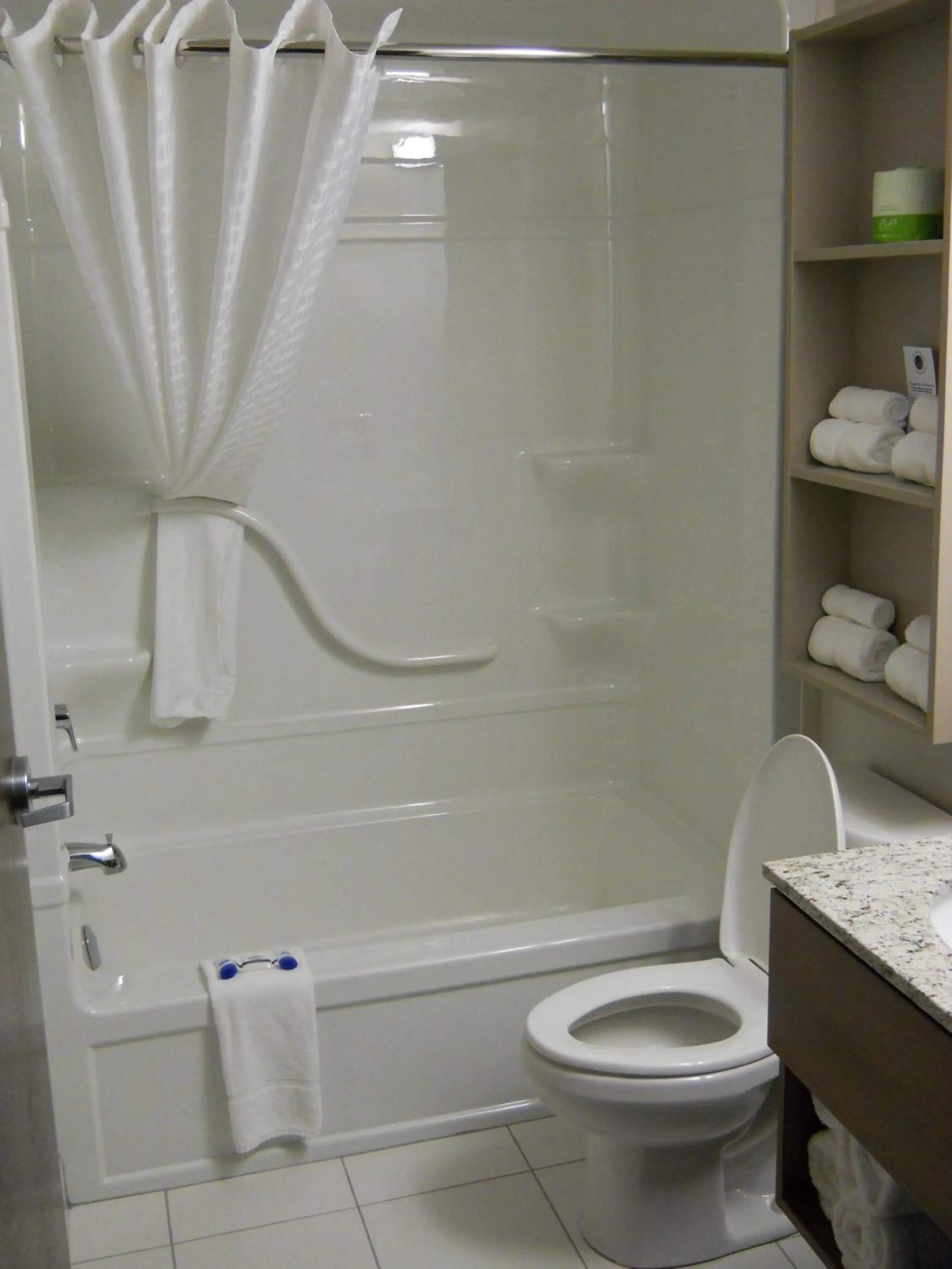 Shower in Microtel Inn & Suites Sault Ste. Marie