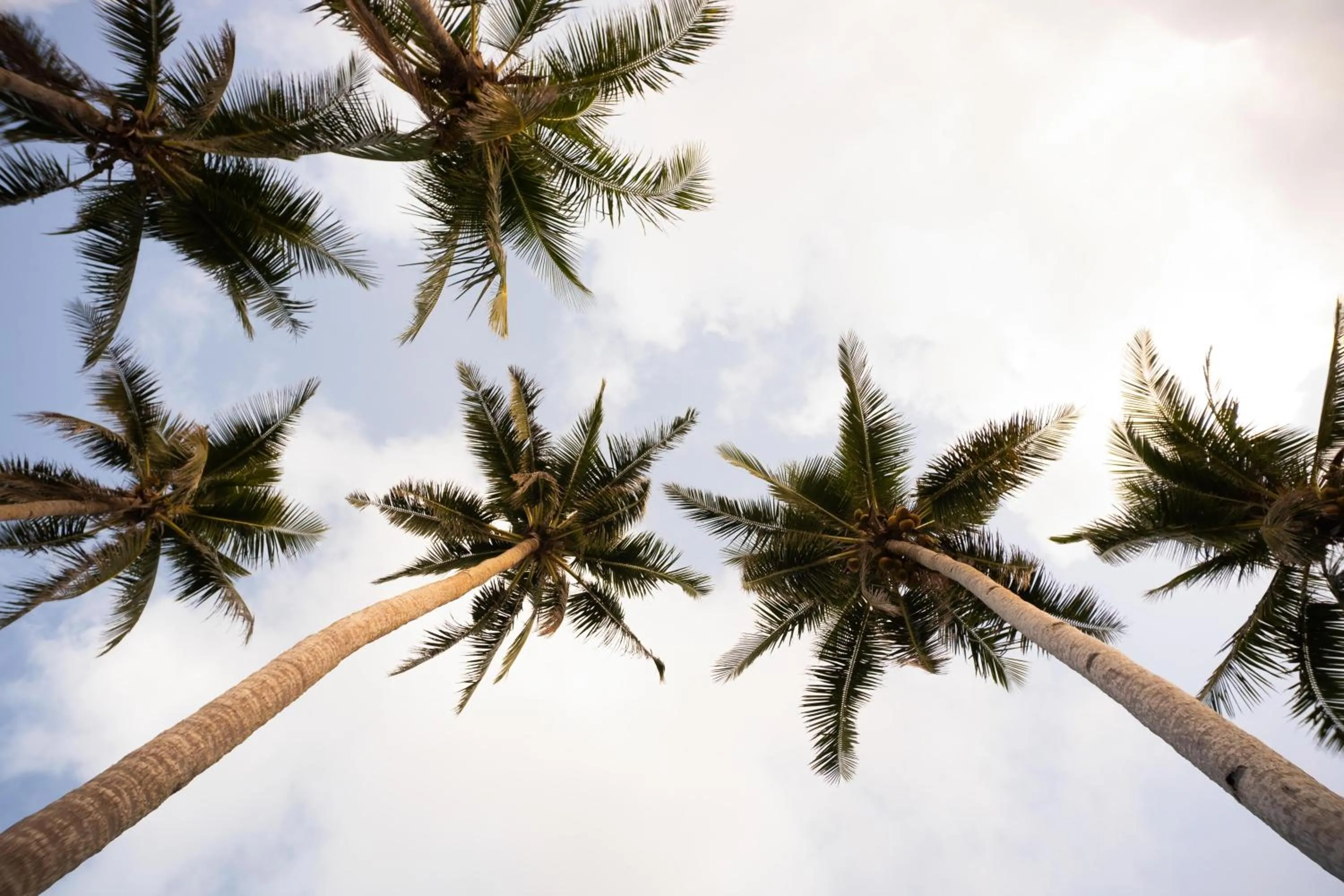 Parklane Bohol Resort and Spa