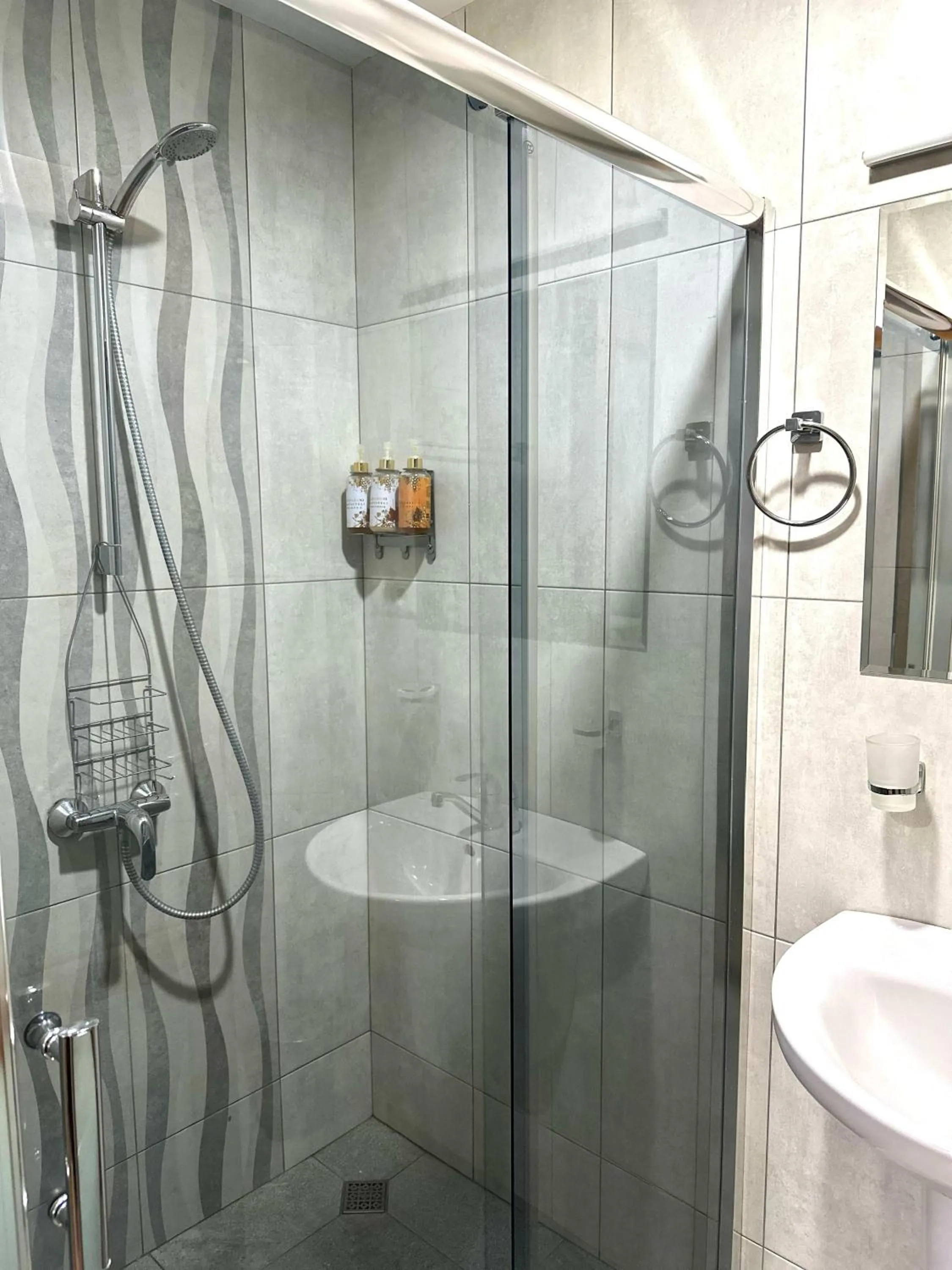 Shower in Red Fox Guesthouse