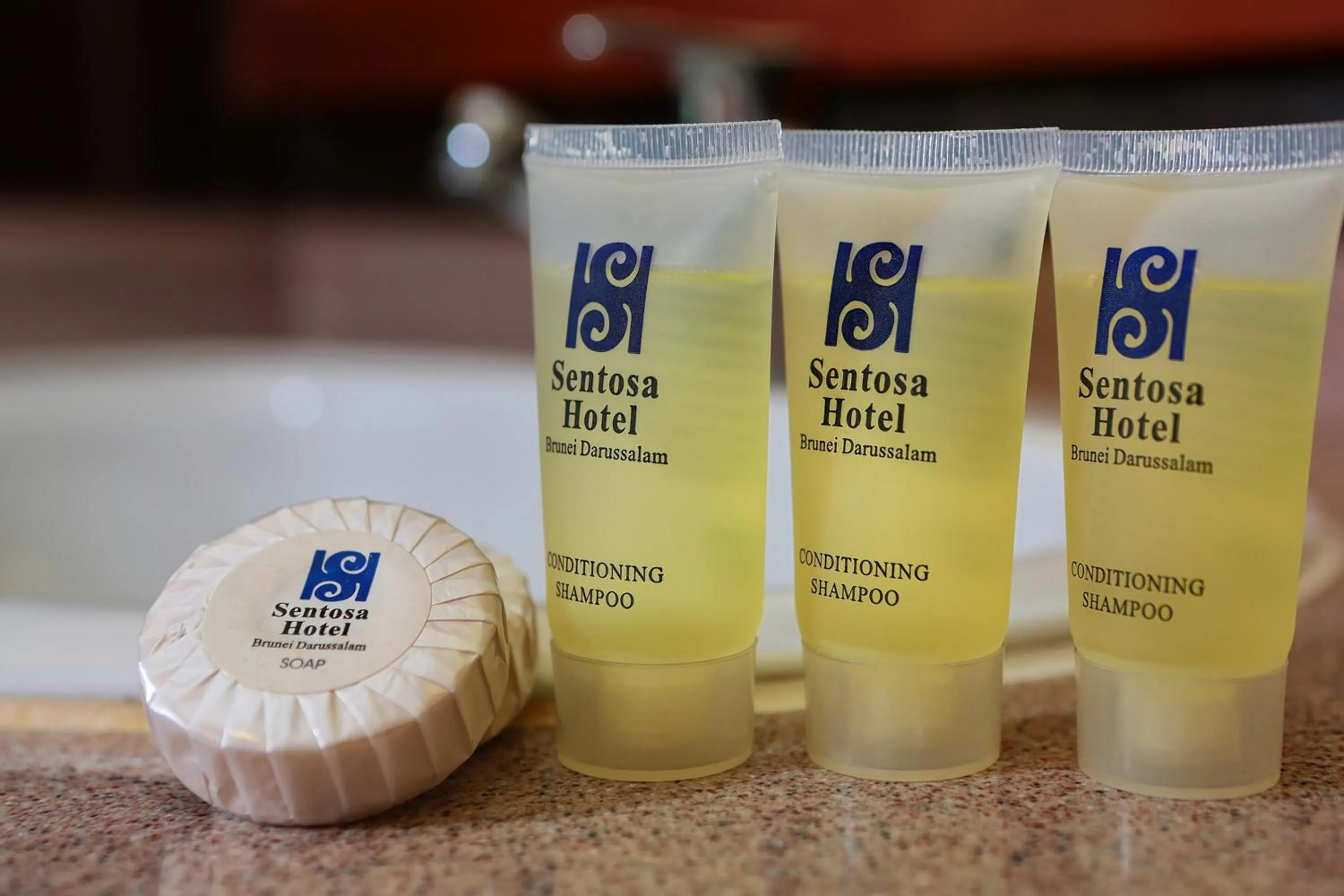 Other in Hotel Sentosa