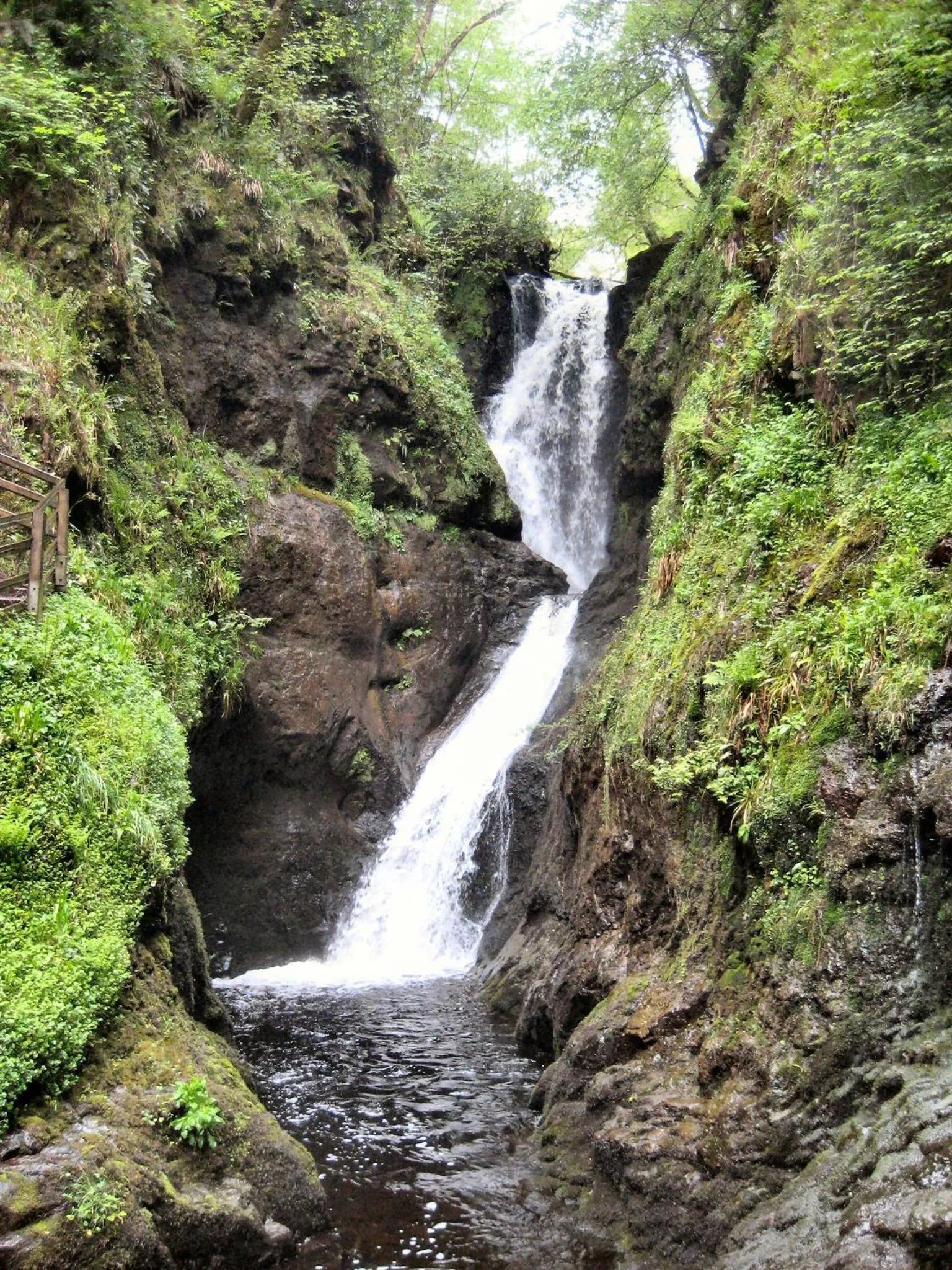 Natural landscape in Glen Haven Bed and Breakfast