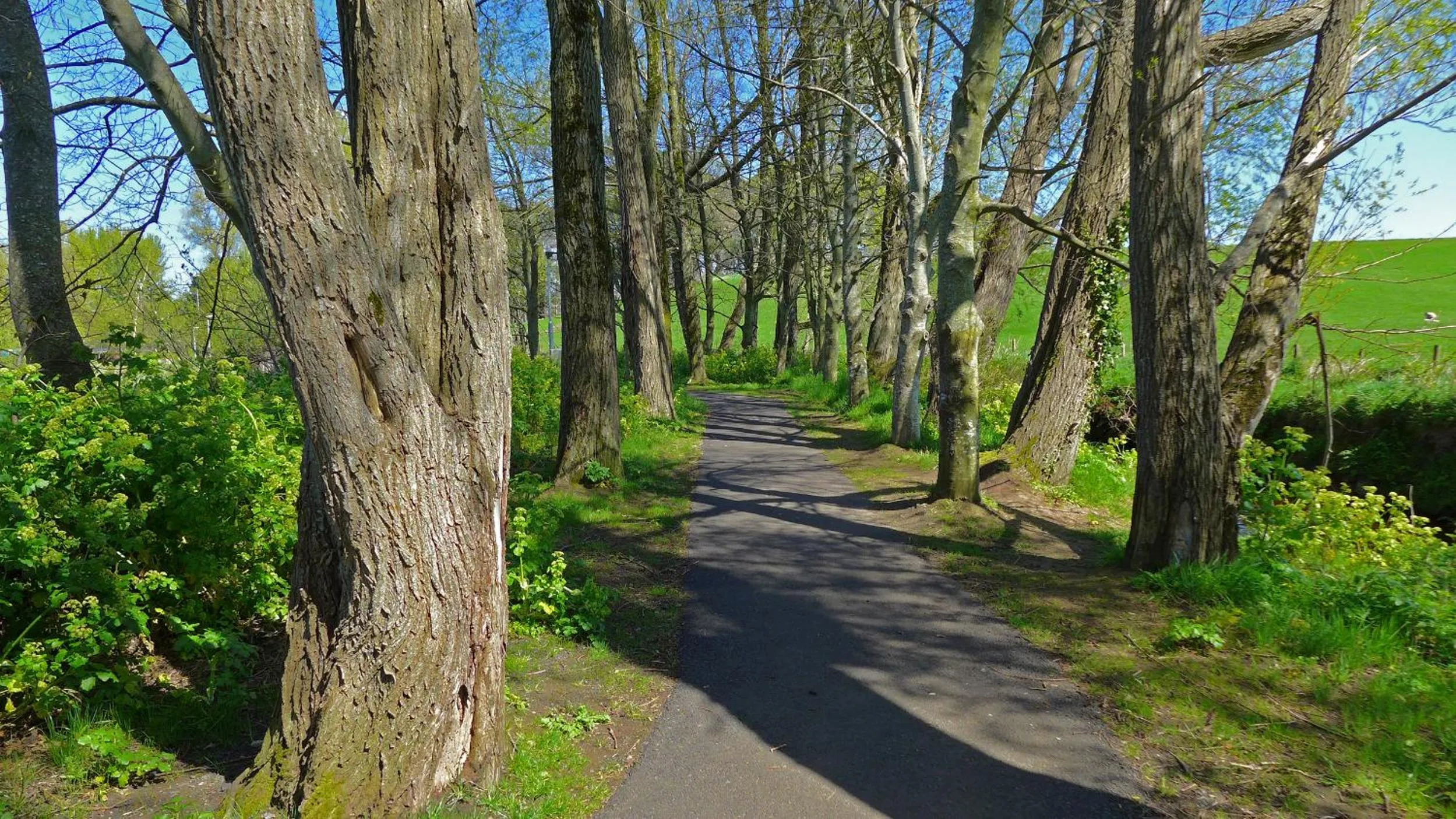 Street view in Glen Haven Bed and Breakfast