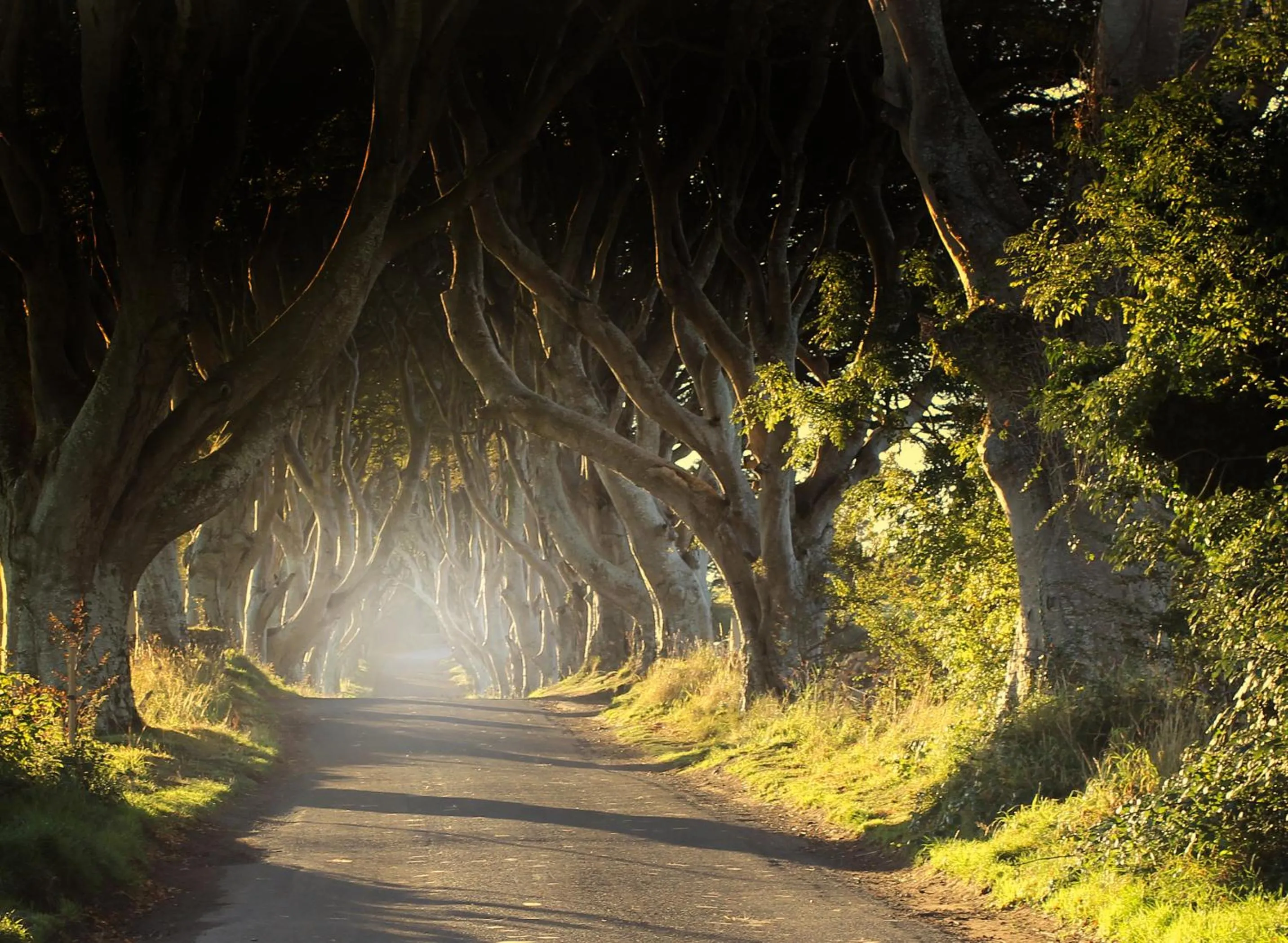 Glen Haven Bed and Breakfast