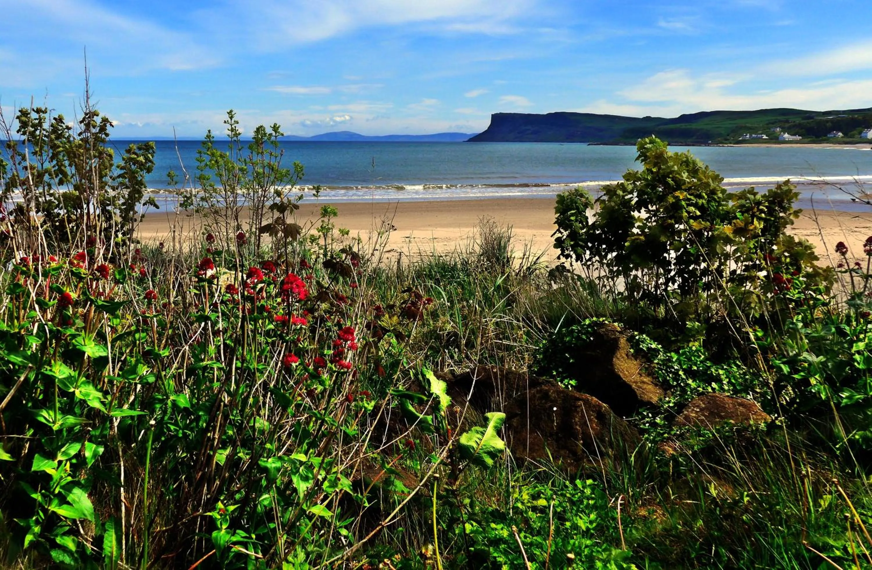 Natural landscape in Glen Haven Bed and Breakfast