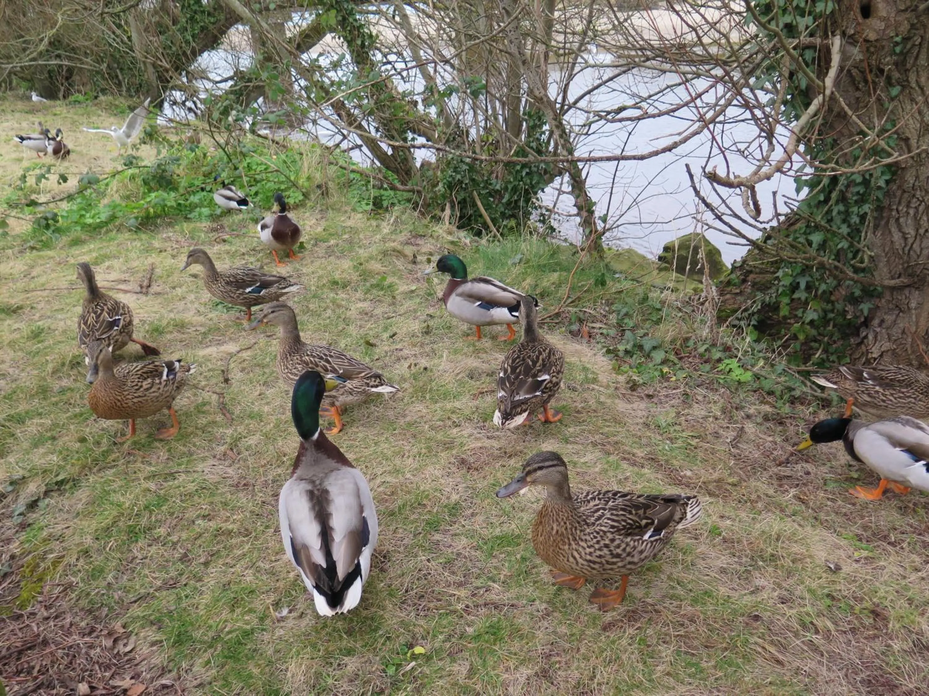 Property building in Glen Haven Bed and Breakfast