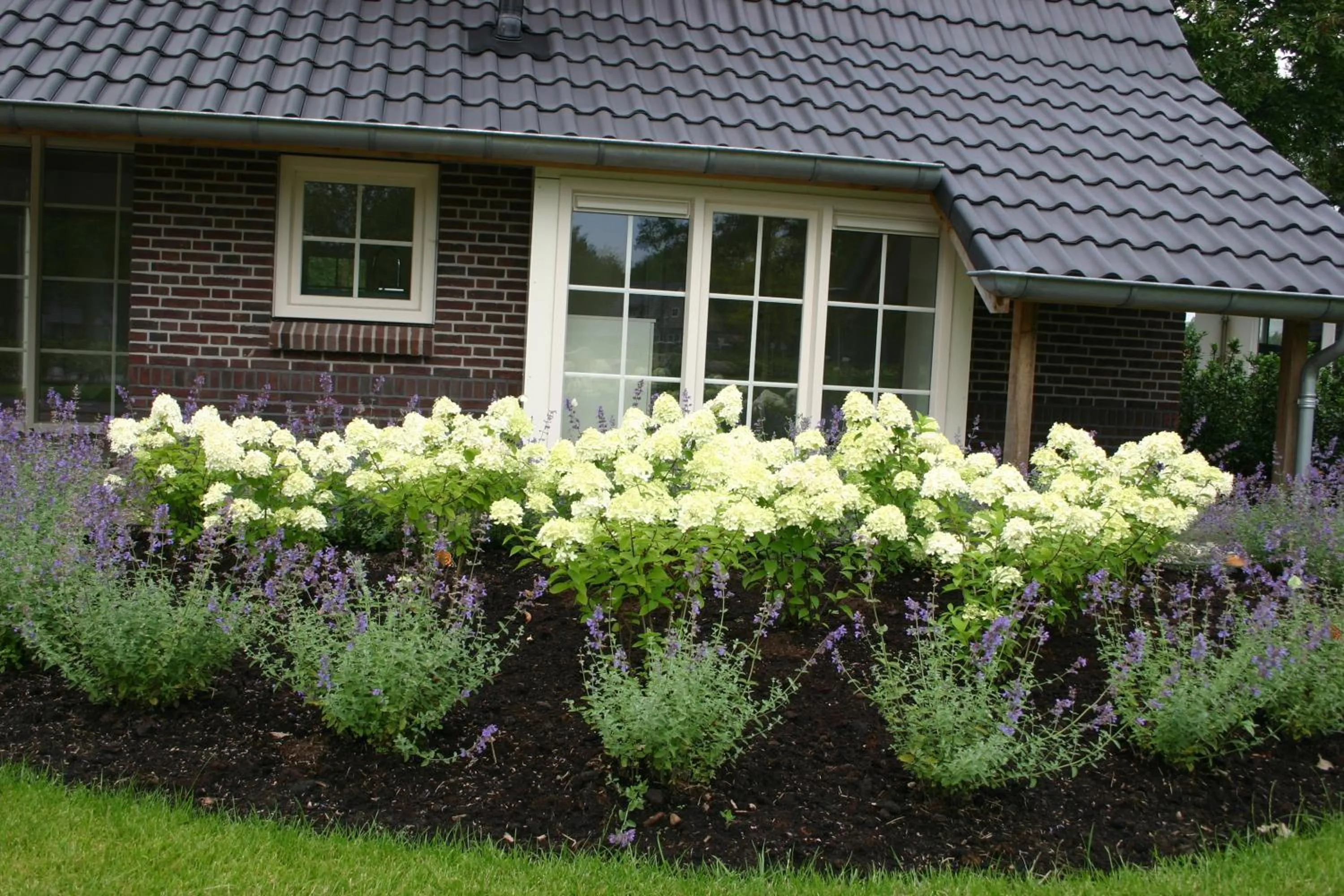 Facade/entrance in Hof van Salland Hellendoorn