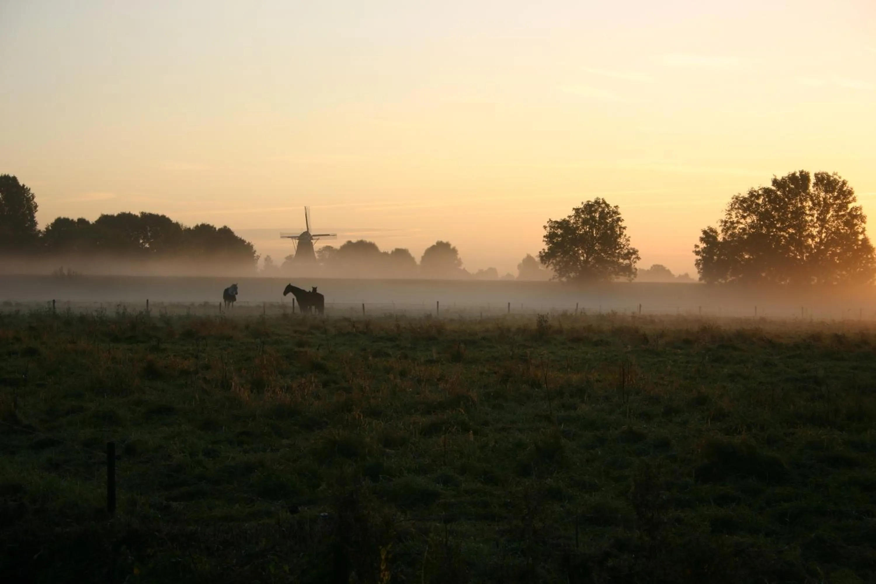 View (from property/room) in Hof van Salland Hellendoorn