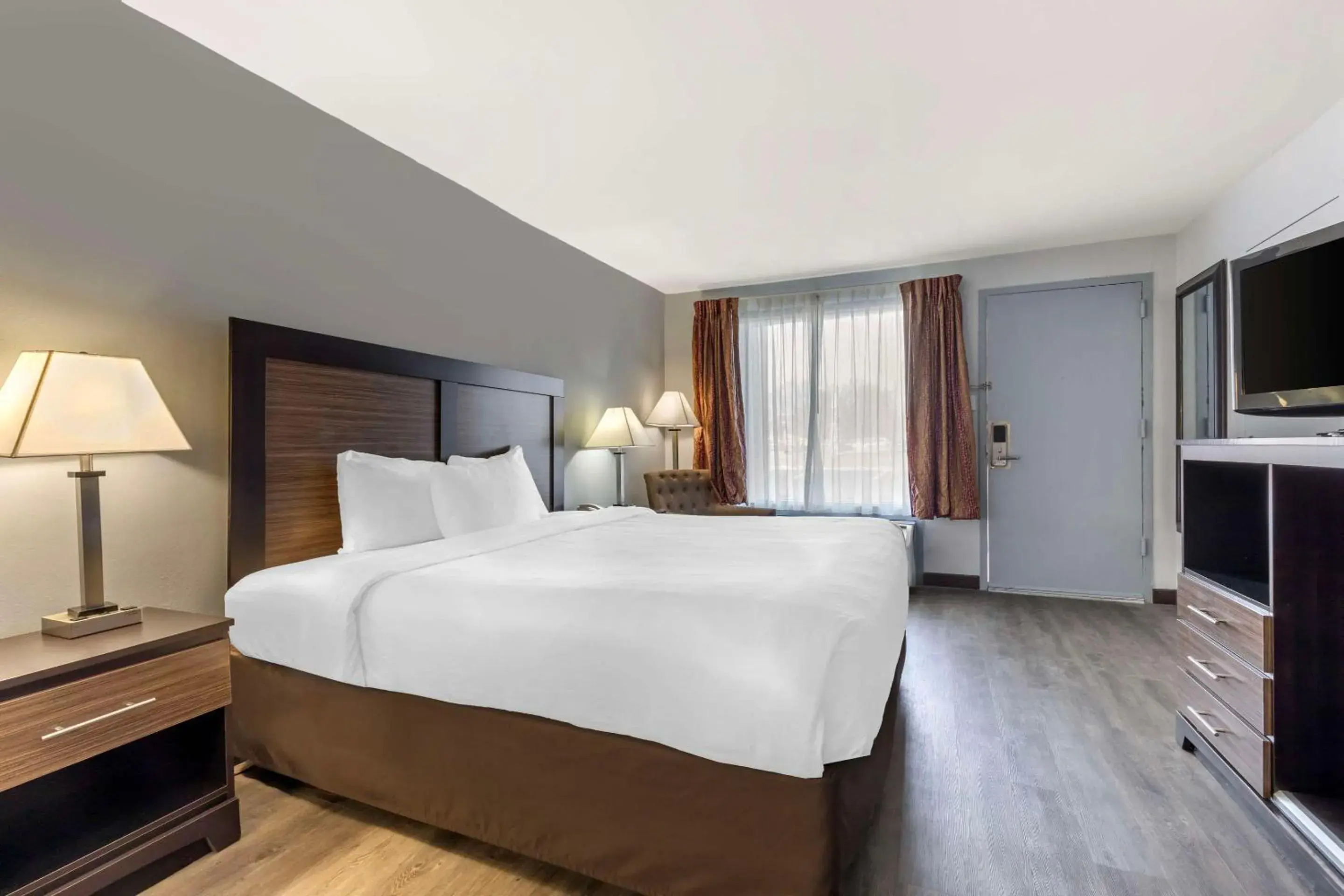 Efficiency Queen Room - Disability Access/Non Smoking in Suburban Studios Gainesville Efficiency Queen Room - Disability Access/Non Smoking in Suburban Studios Gainesville