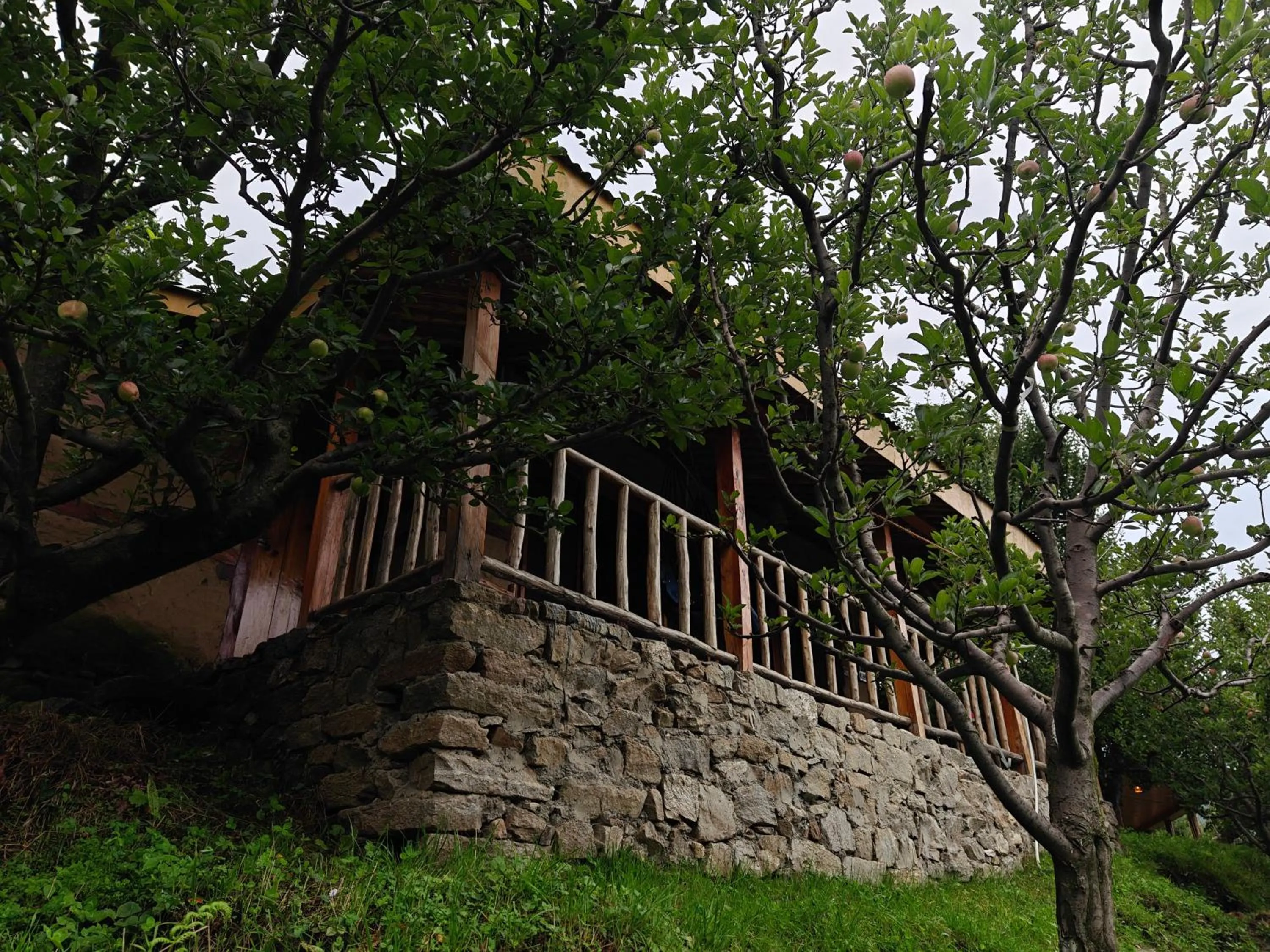 Spring in Upepo - The Sky Village