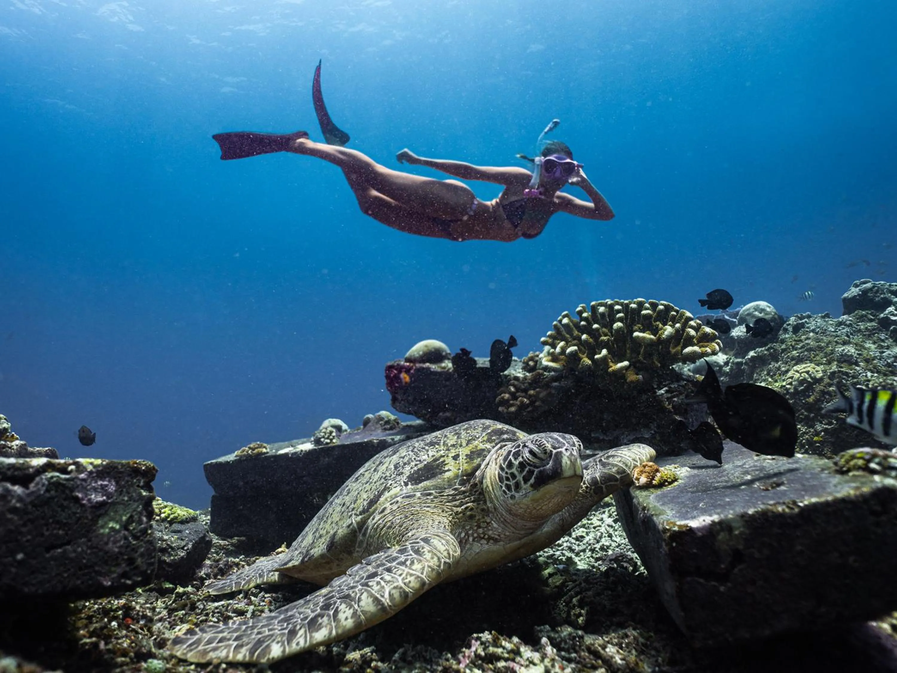 Sea view in Lasai Villas