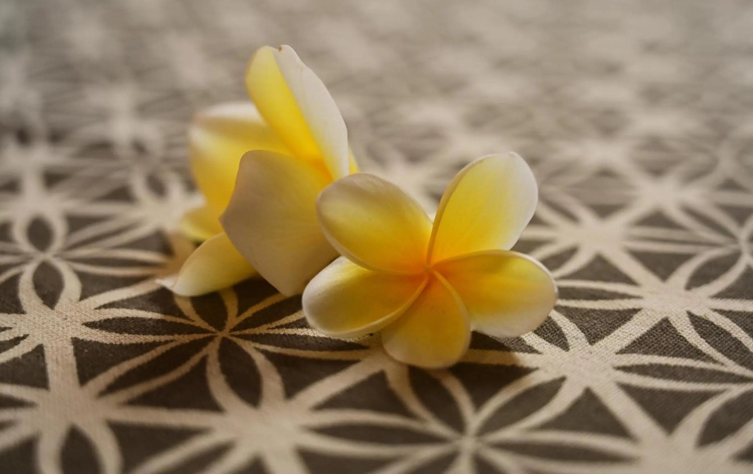 Garden in Lasai Villas