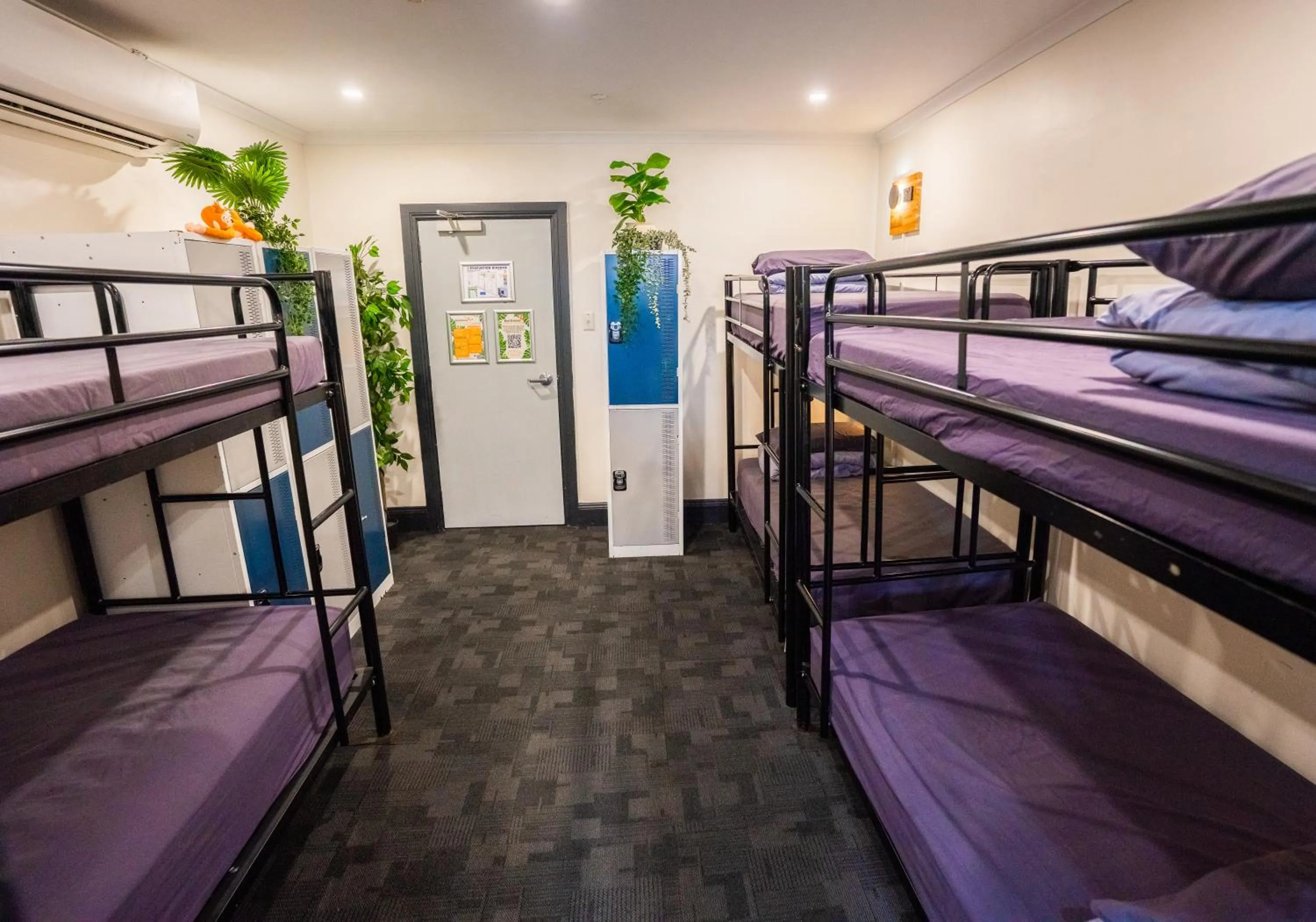 Bed in Mad Monkey Kings Cross