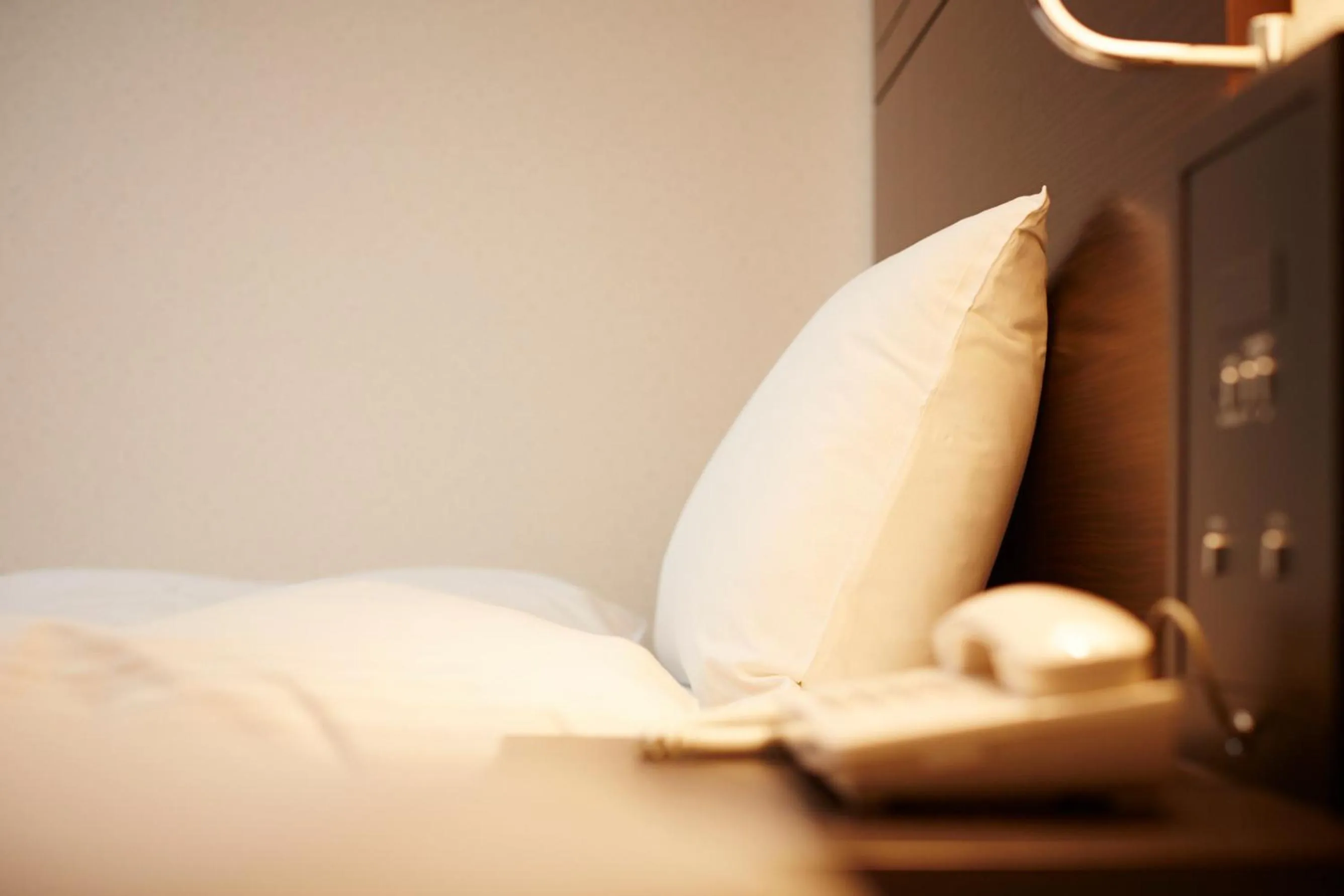 Photo of the whole room, Bed in Ariston Inn Kanda Kitakyusyu Airport