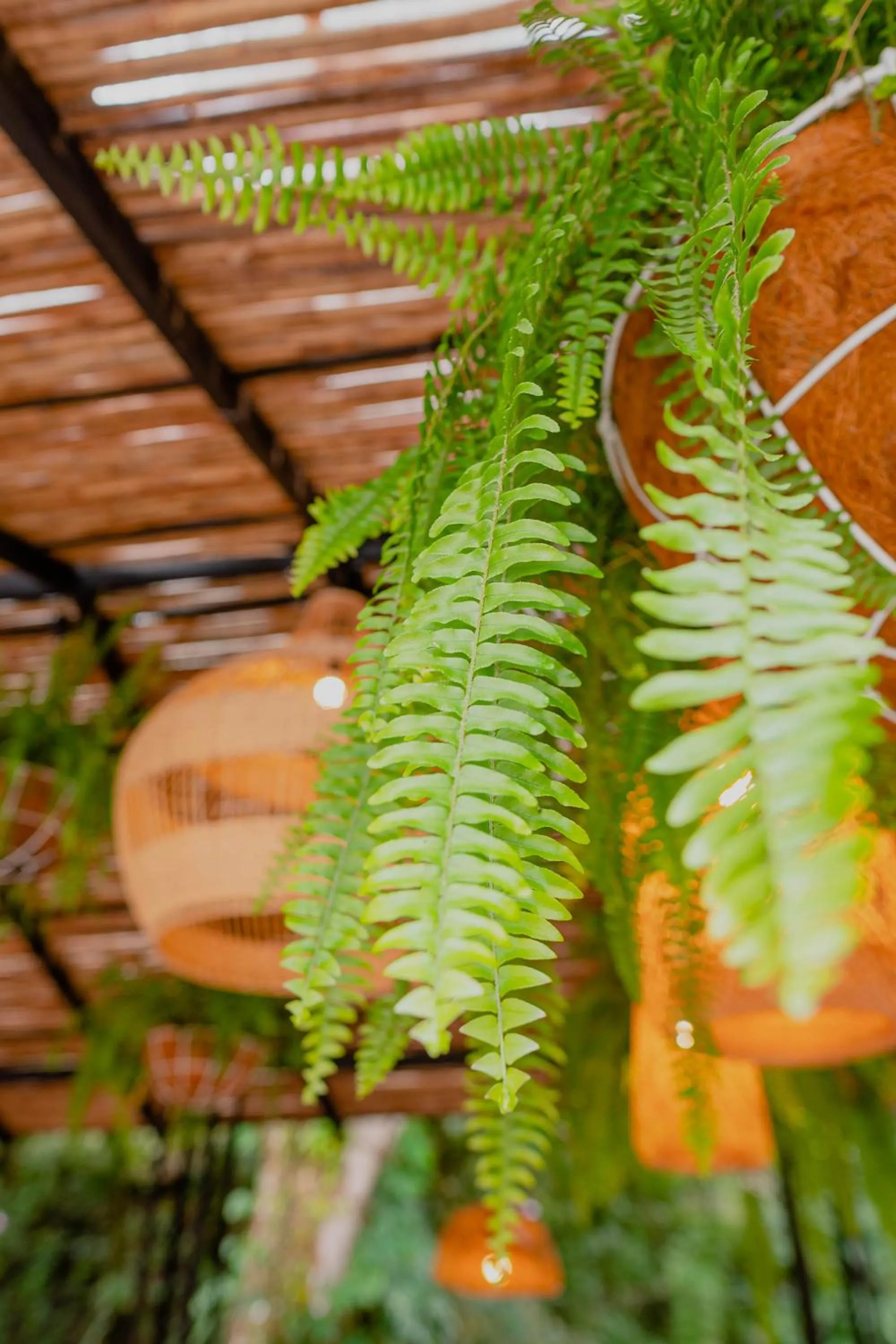 Natural landscape in Hotel Casa de Hadas