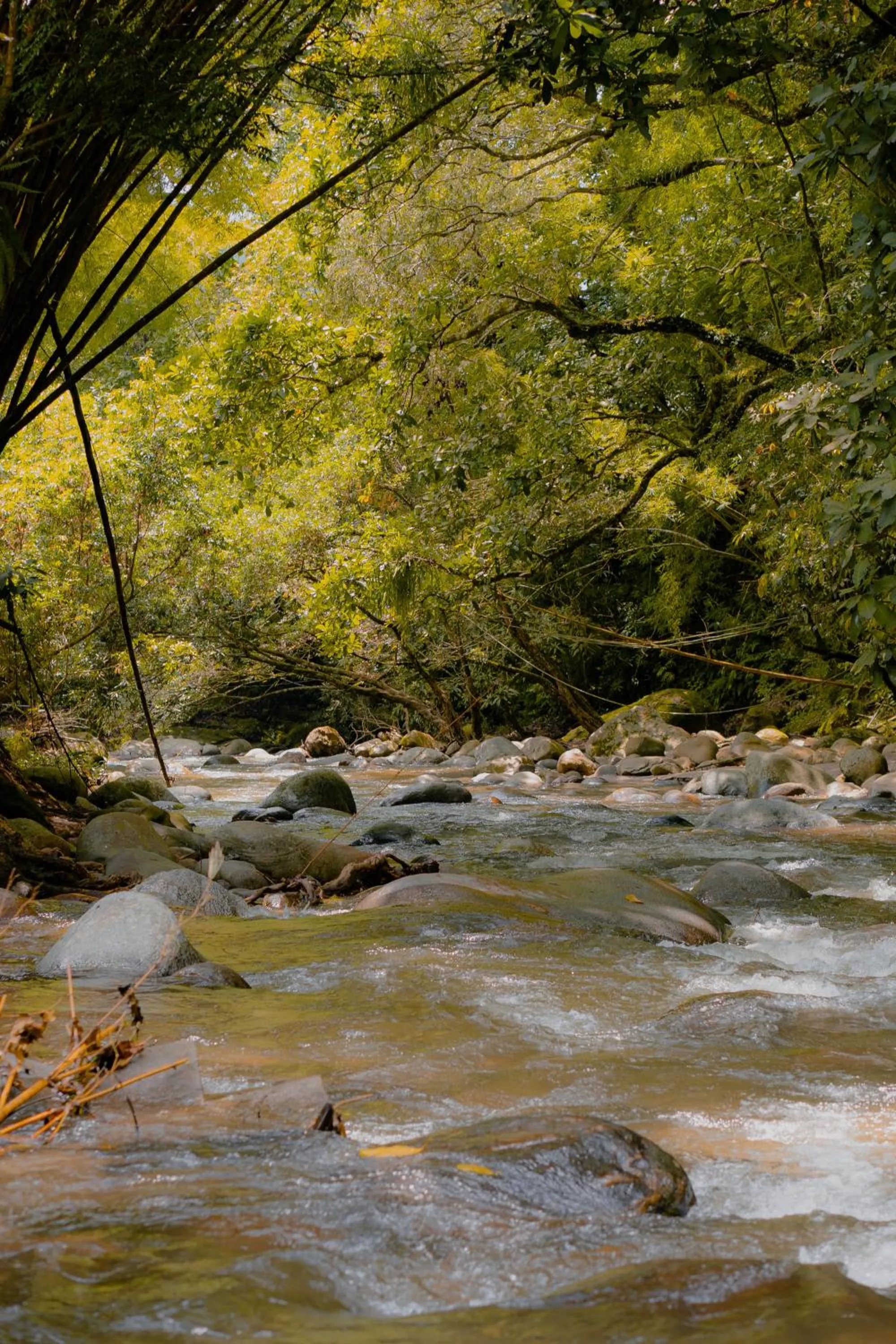 Natural landscape in Hotel Casa de Hadas