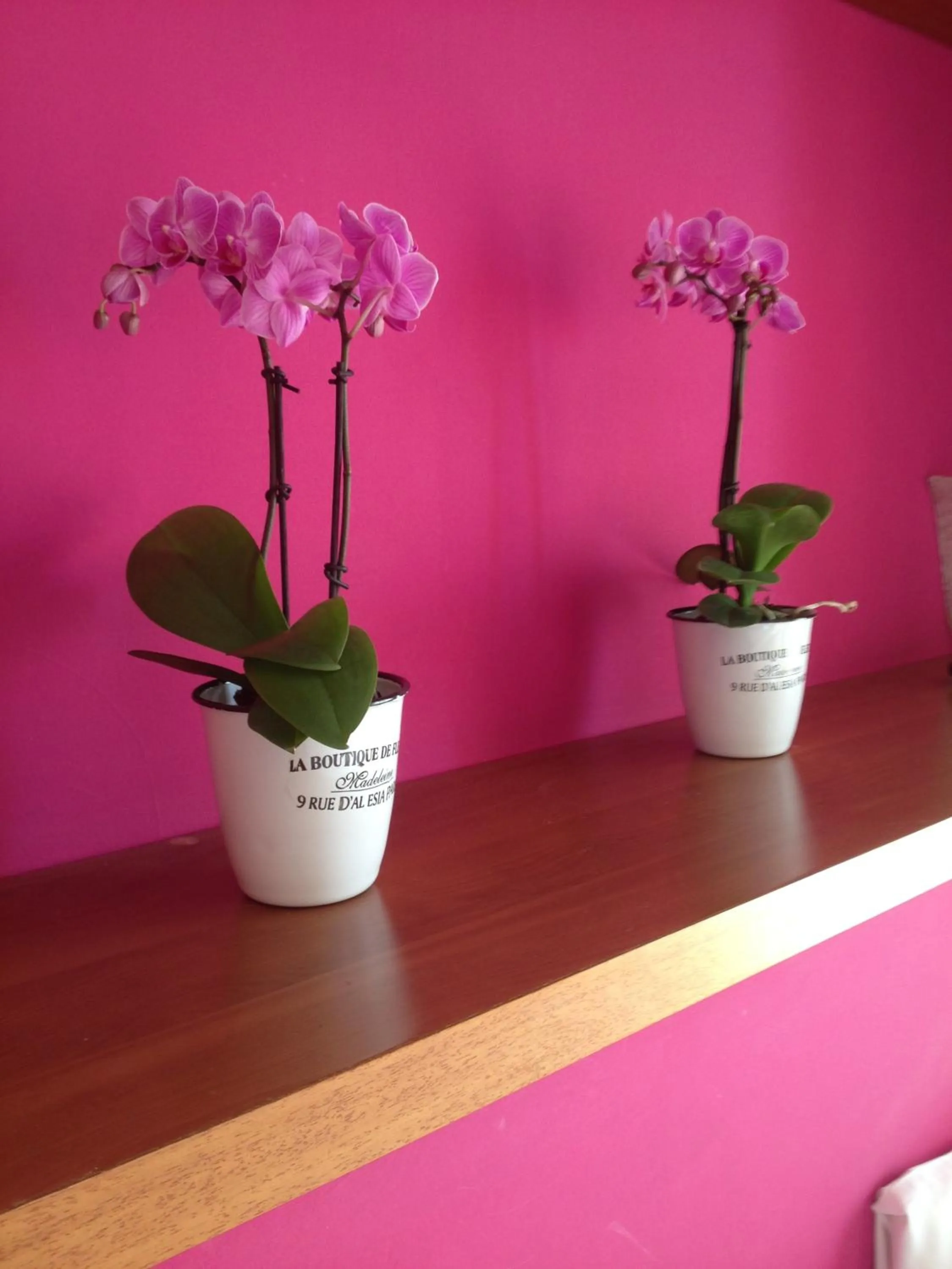 Decorative detail in Hotel Benacus