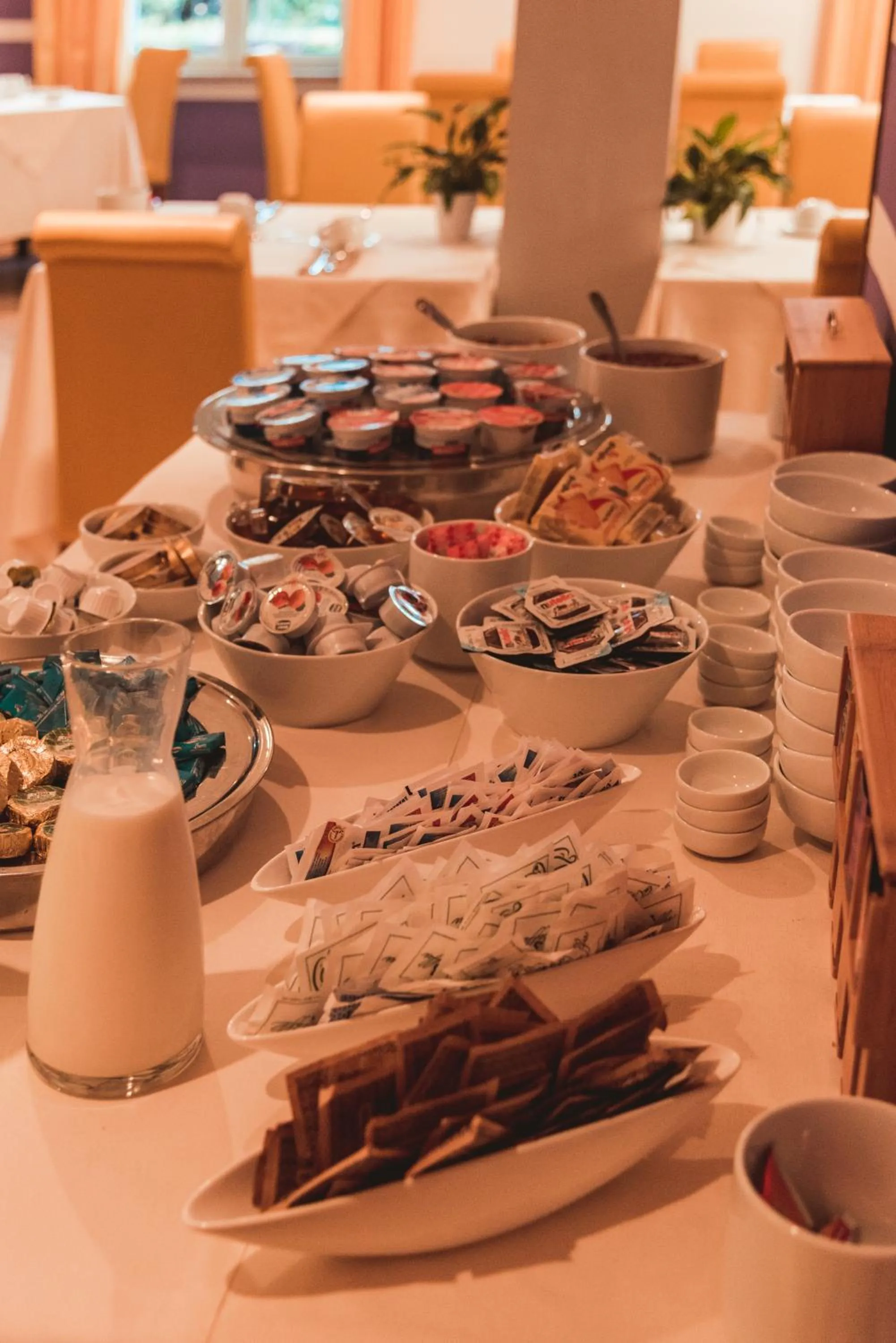 Breakfast in Hotel Benacus