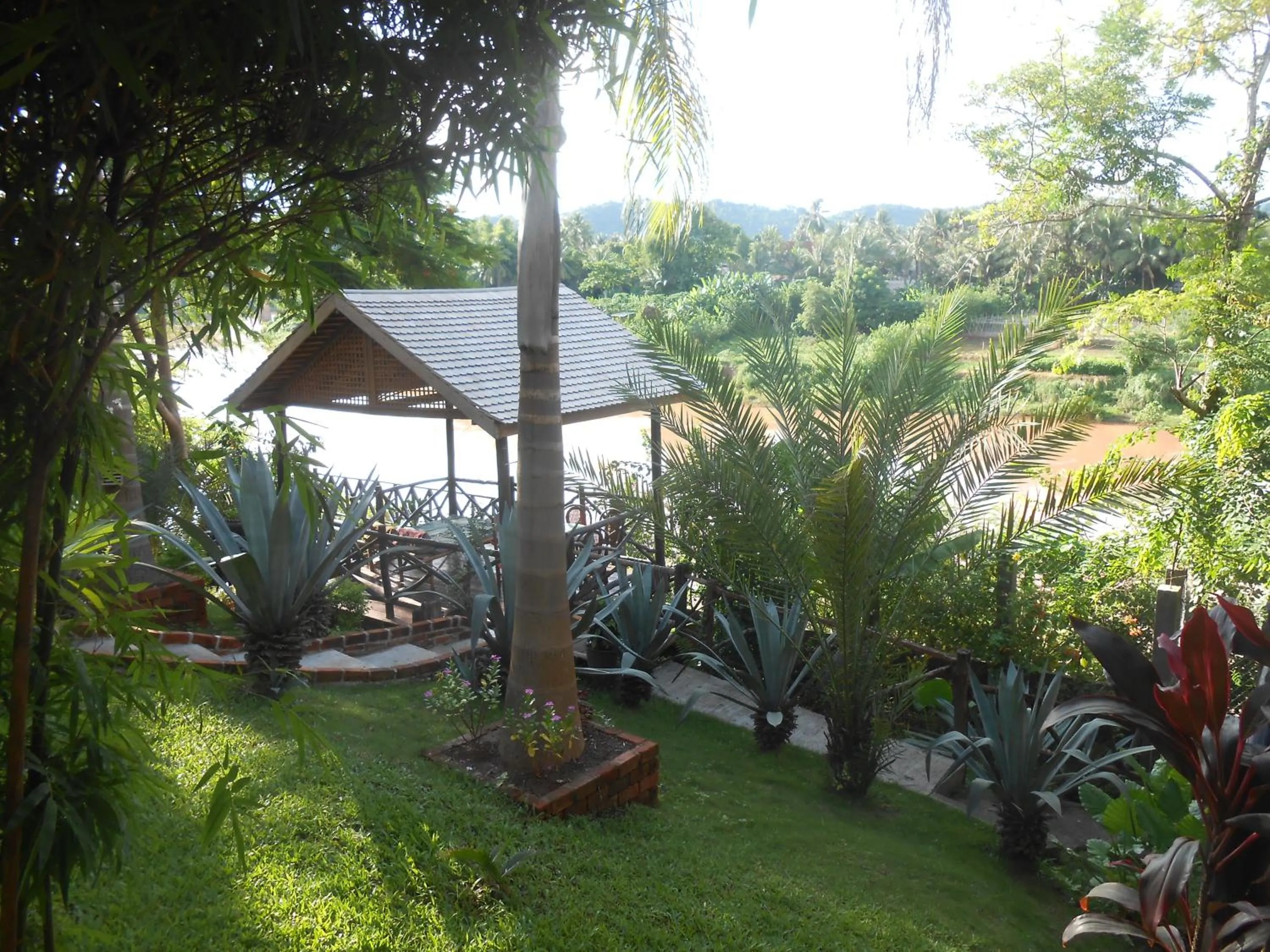 View (from property/room) in Thongbay Guesthouse