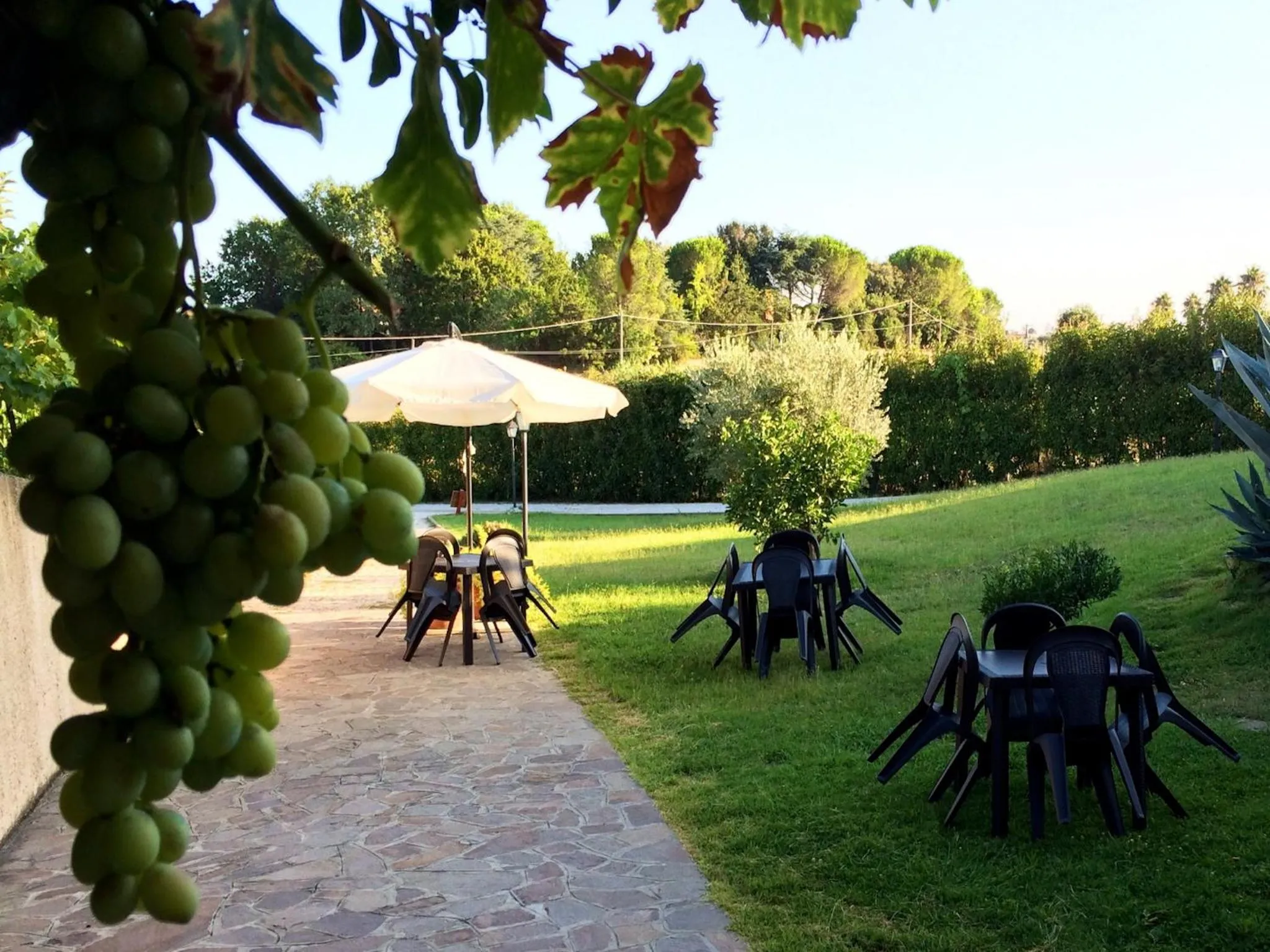 Facade/entrance in B&B Millennium