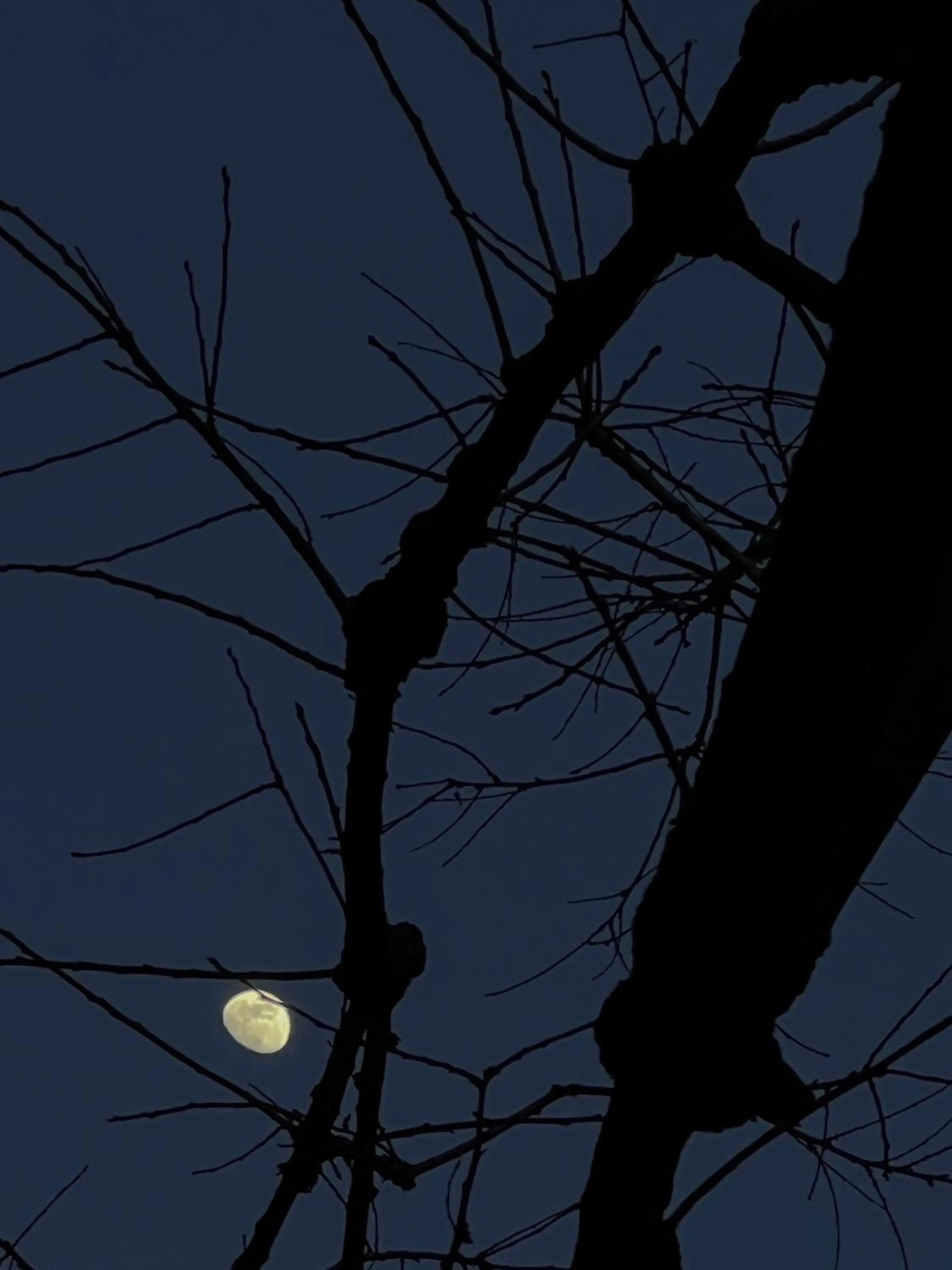 Night in Faces & Places Boutique Hotel