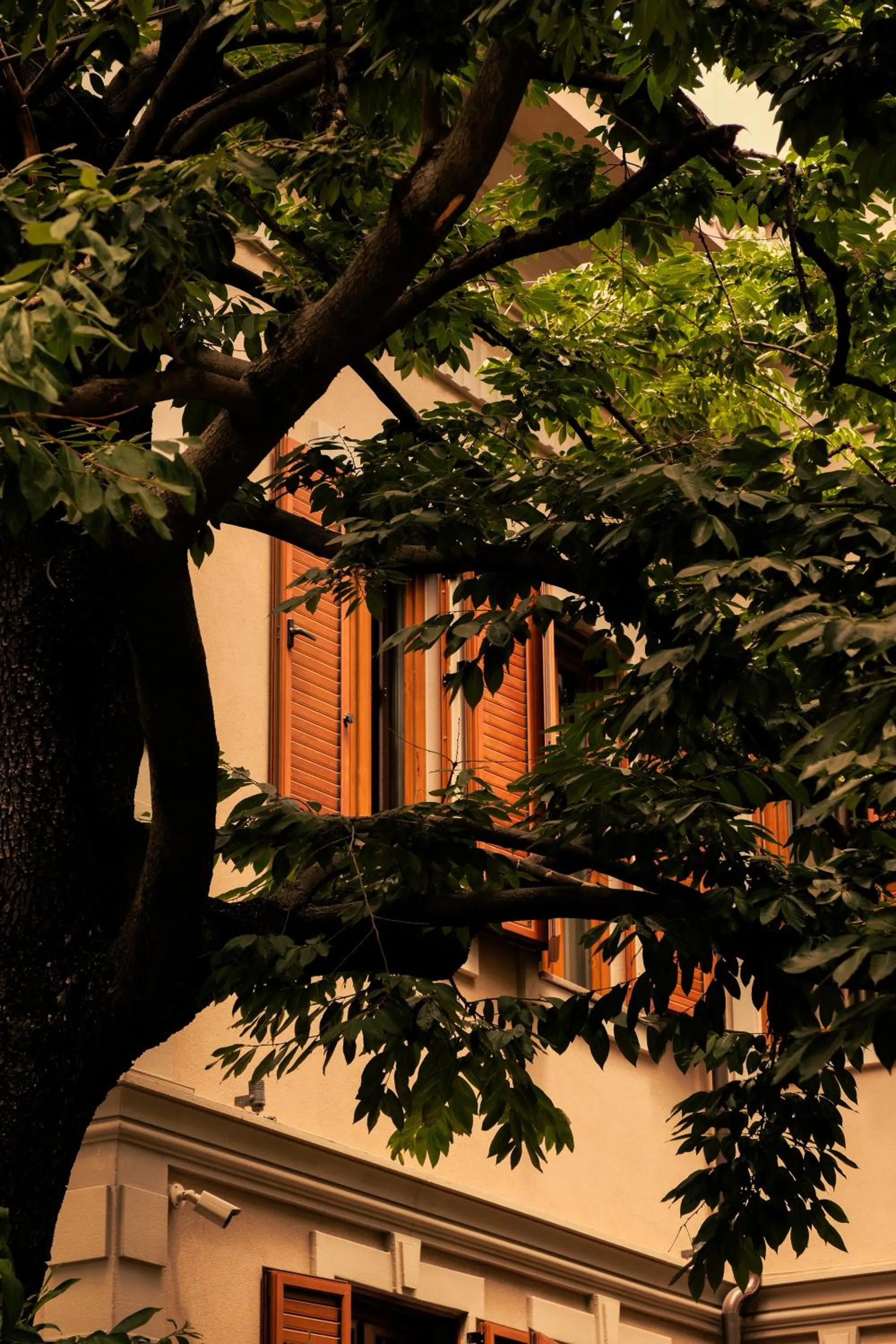 Property building in Faces & Places Boutique Hotel