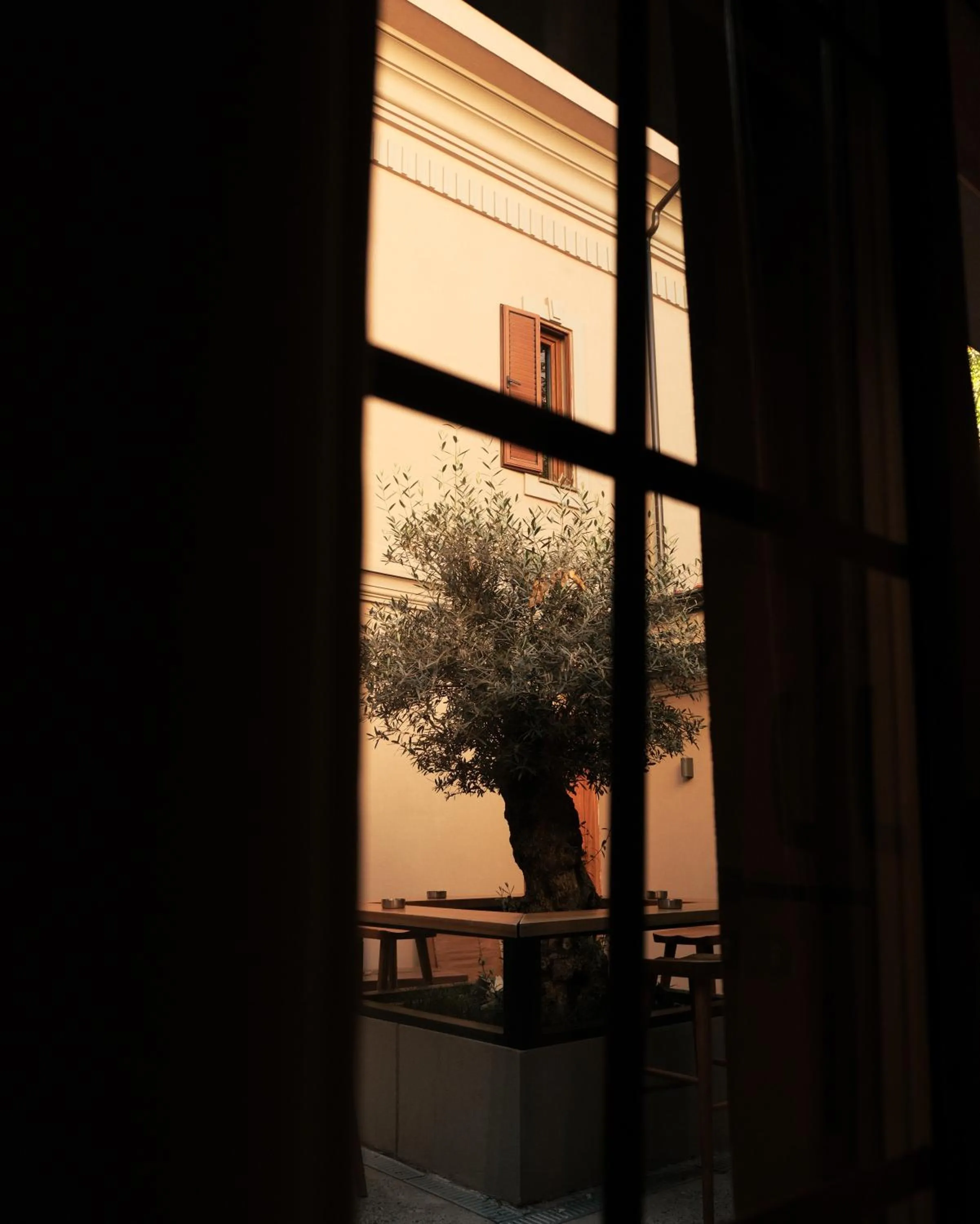 Garden view in Faces & Places Boutique Hotel