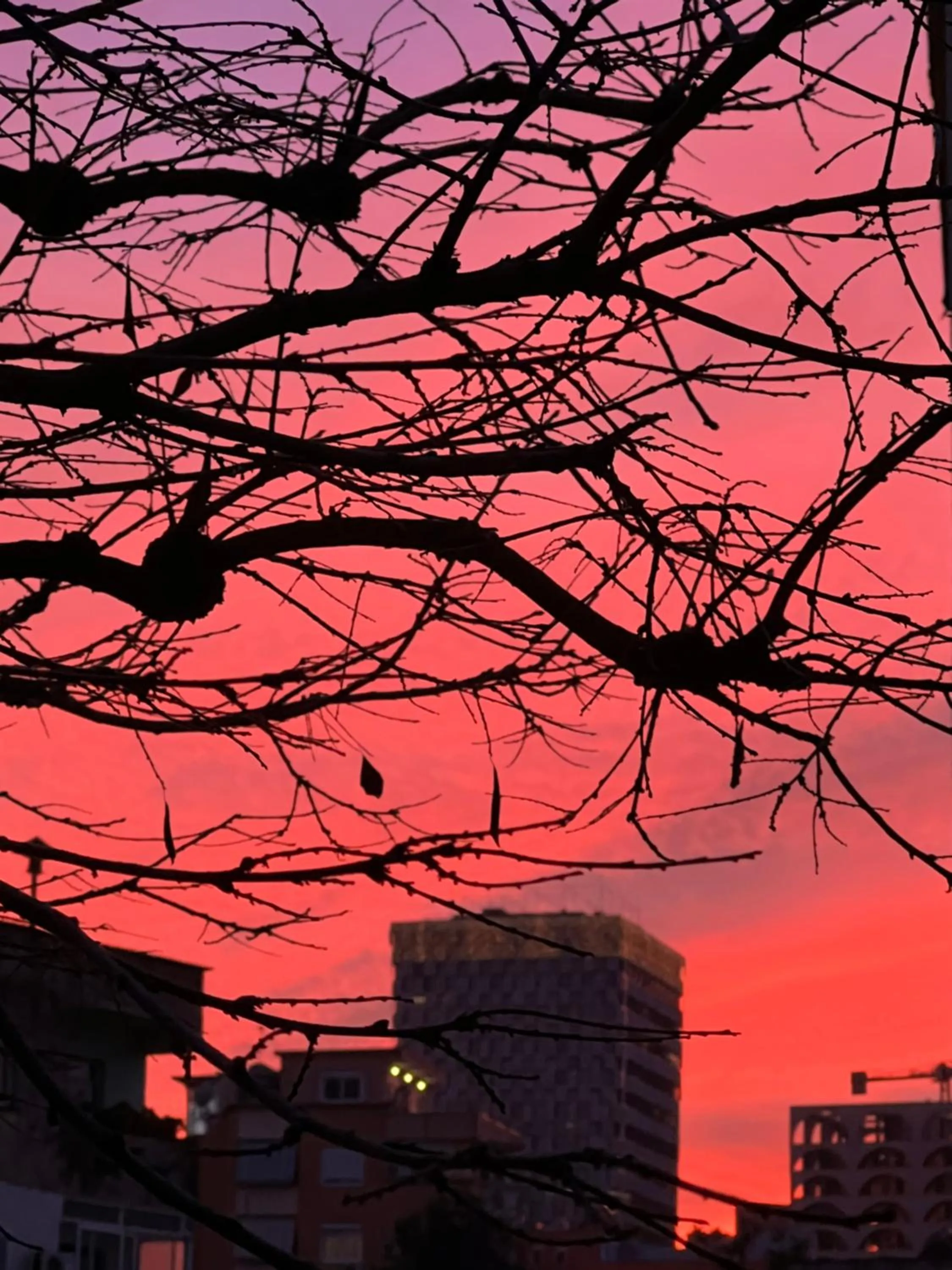 City view in Faces & Places Boutique Hotel