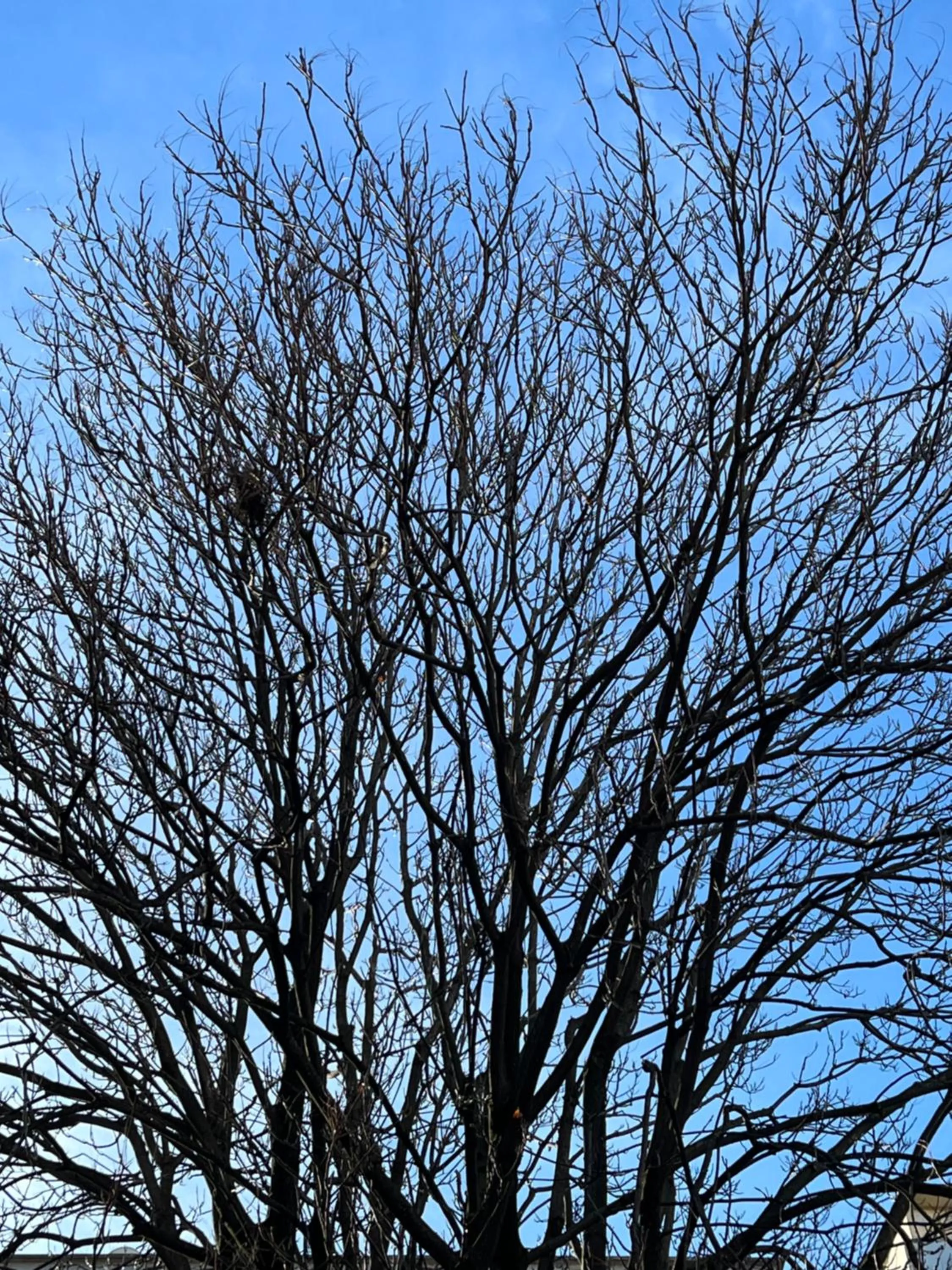 Day in Faces & Places Boutique Hotel