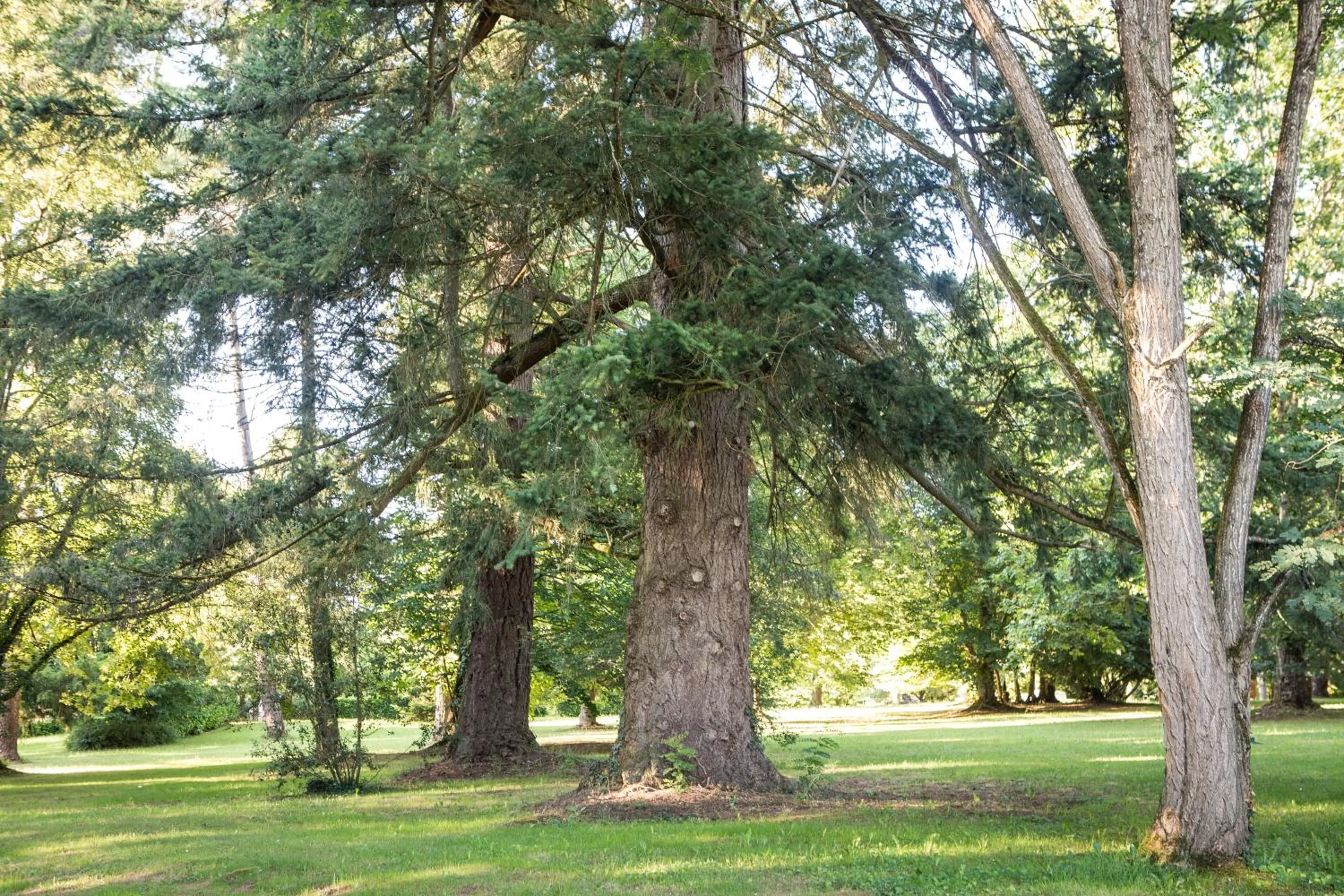 Garden in Château de Maraval