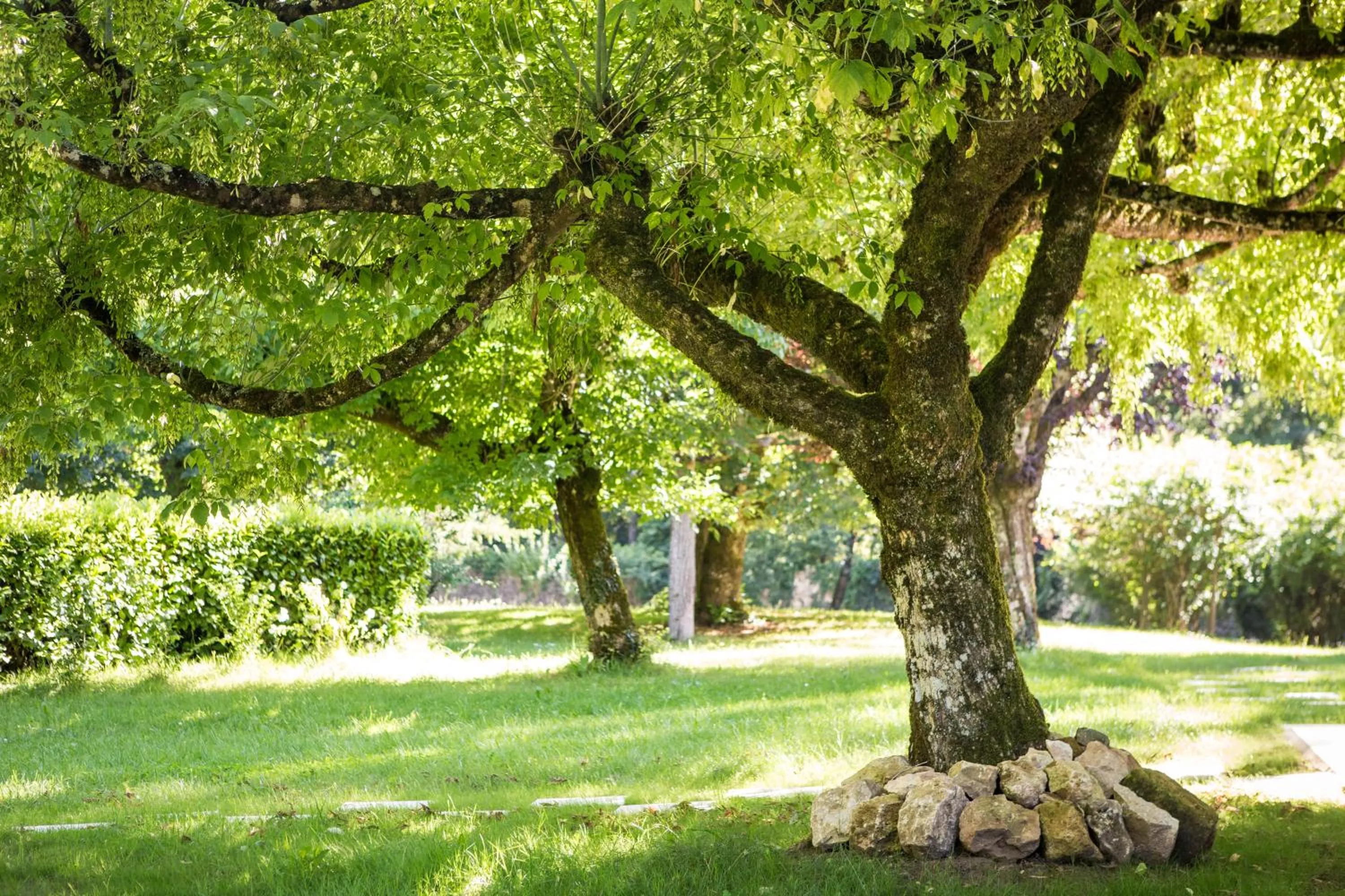 Garden in Château de Maraval