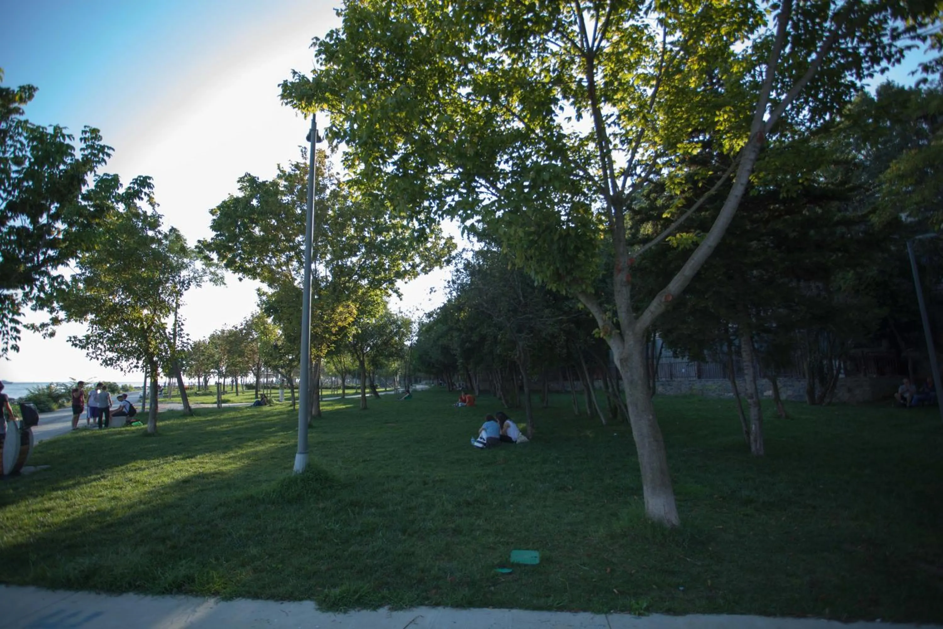 Garden in Juliet Rooms & Kitchen