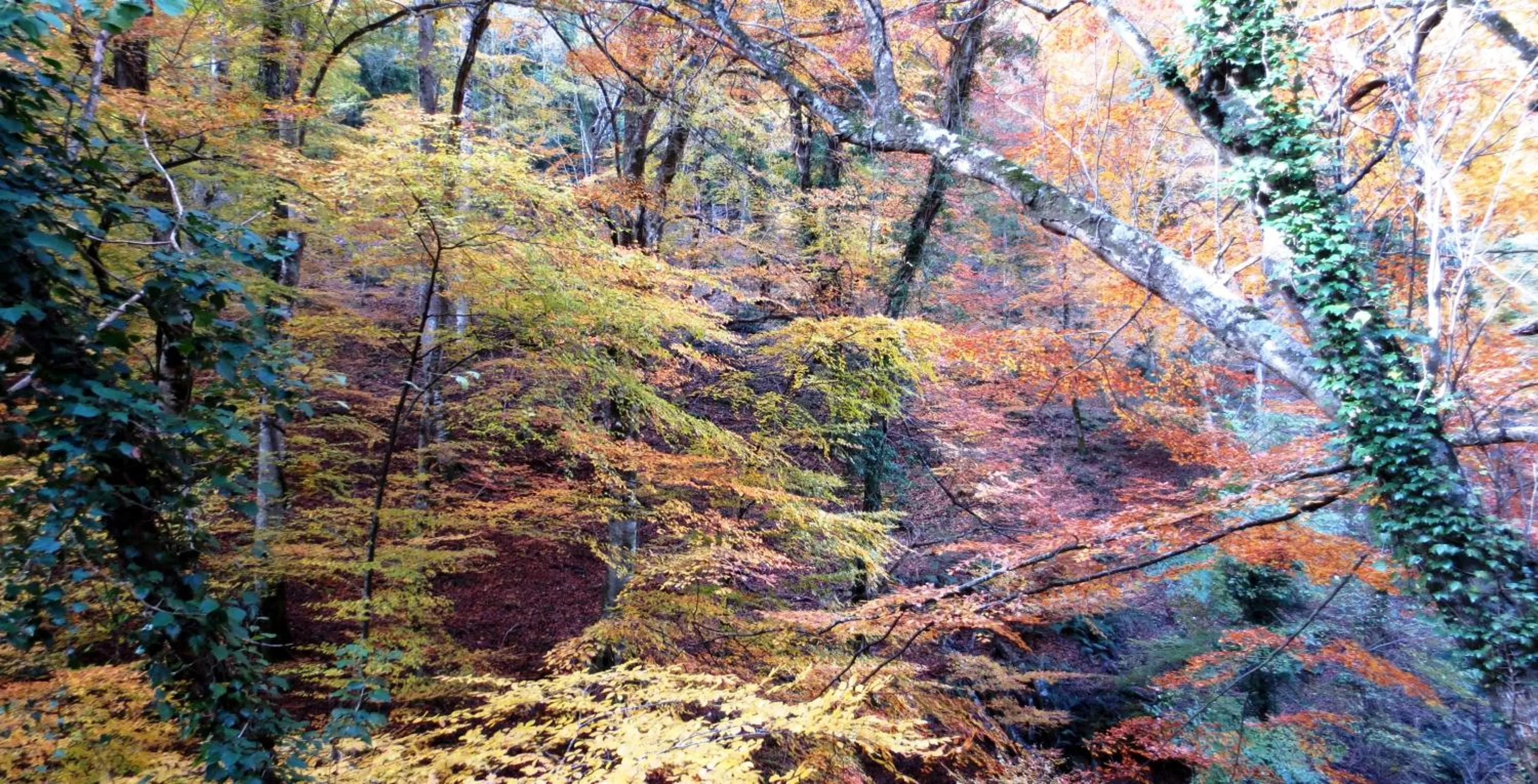 Natural landscape in Hotel Maremonti
