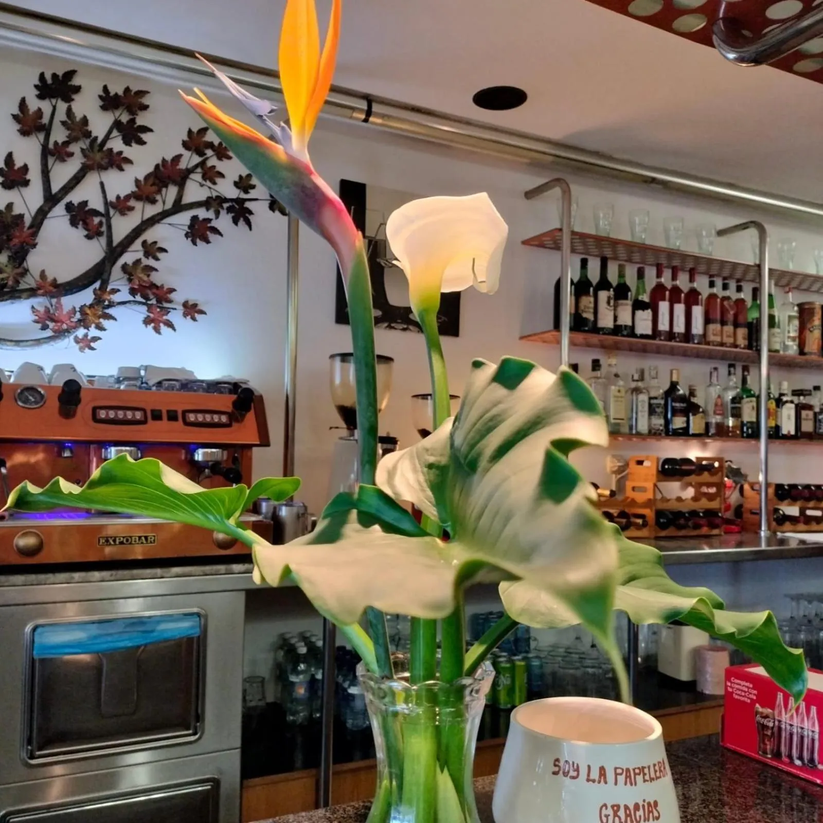 Dinner in Hotel Capellan