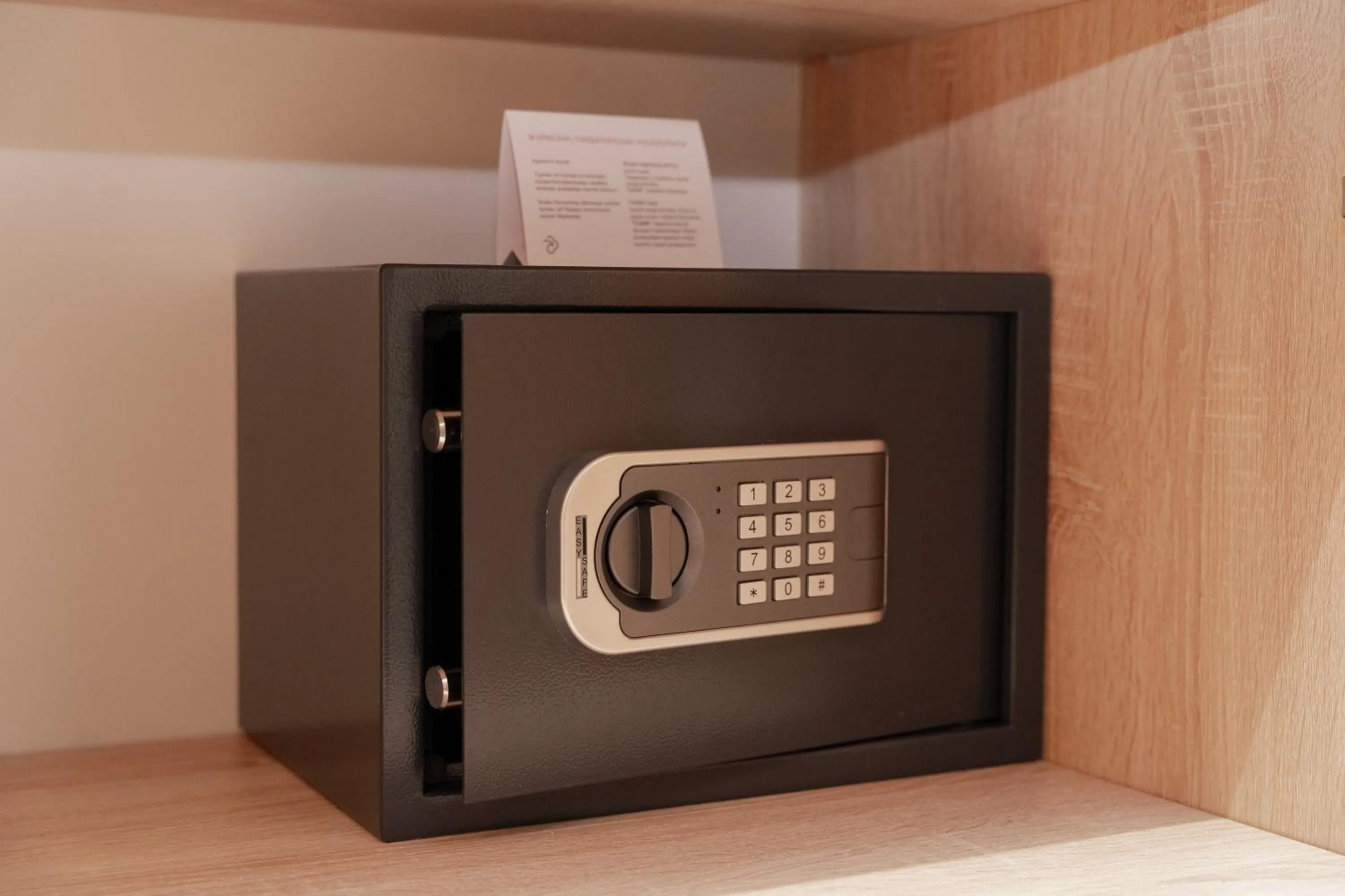 safe in Park Dedeman Almaty