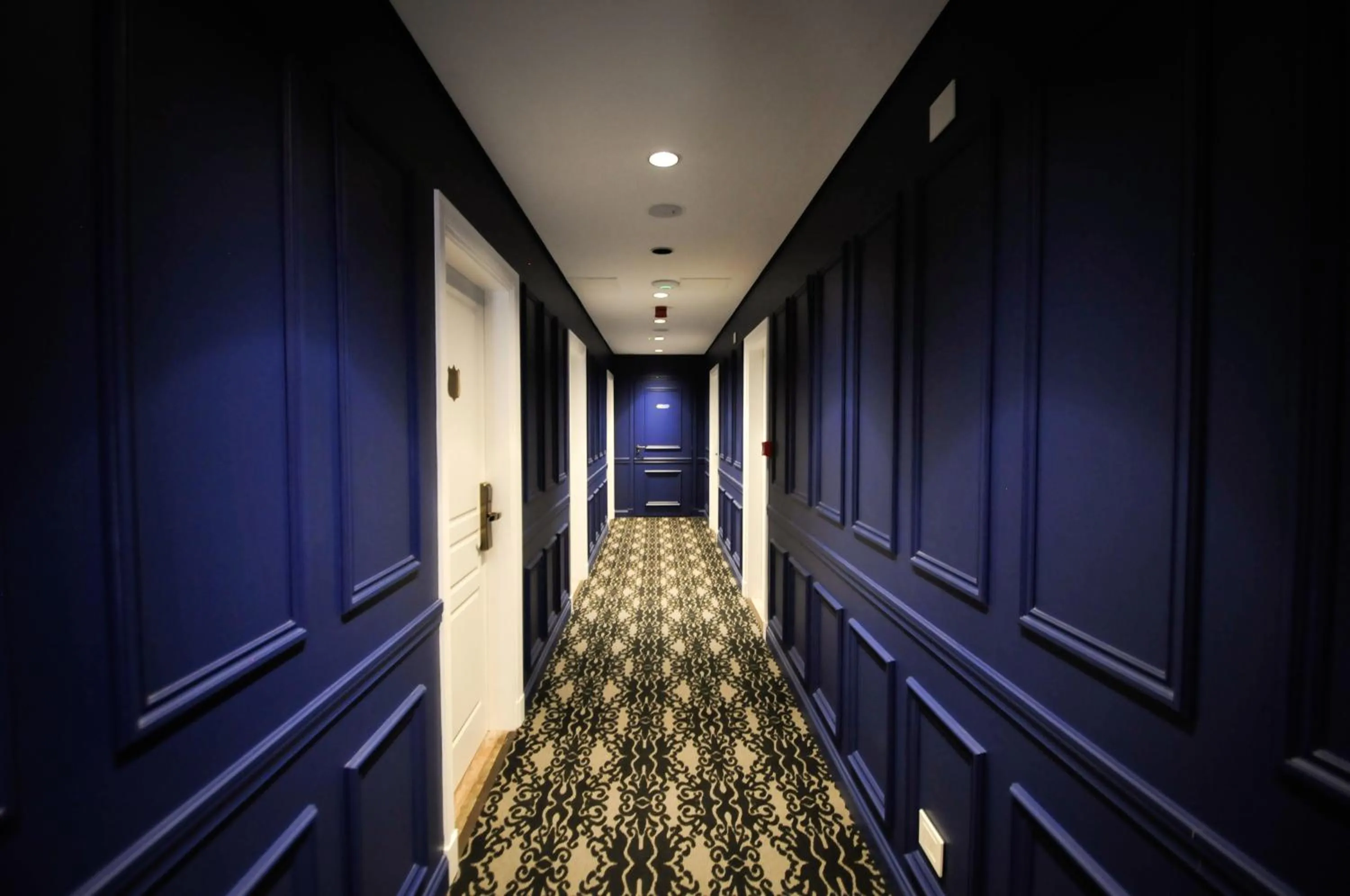 Area and facilities in Hotel Clasico