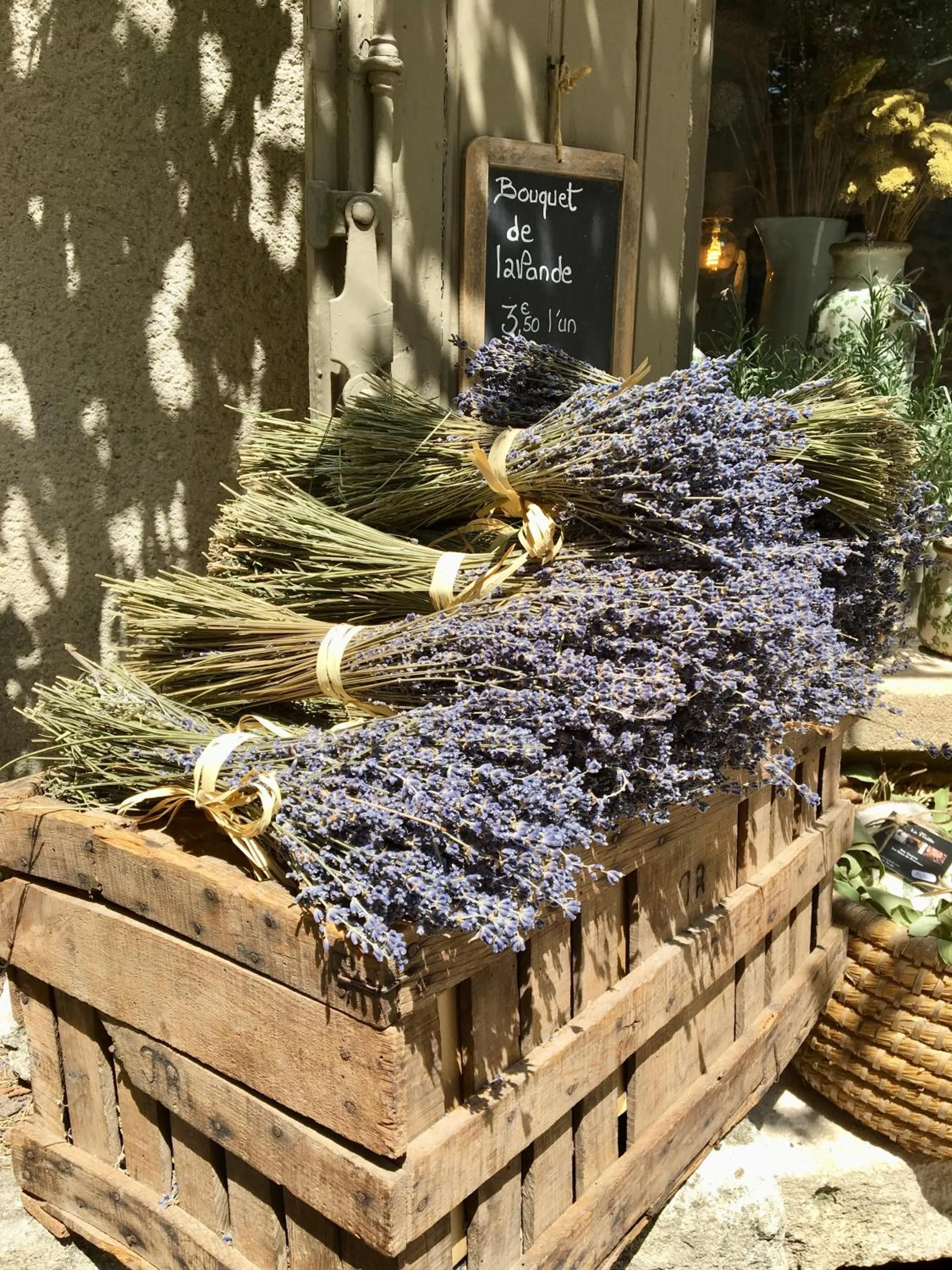 Activities in Le Mas Terre des Anges