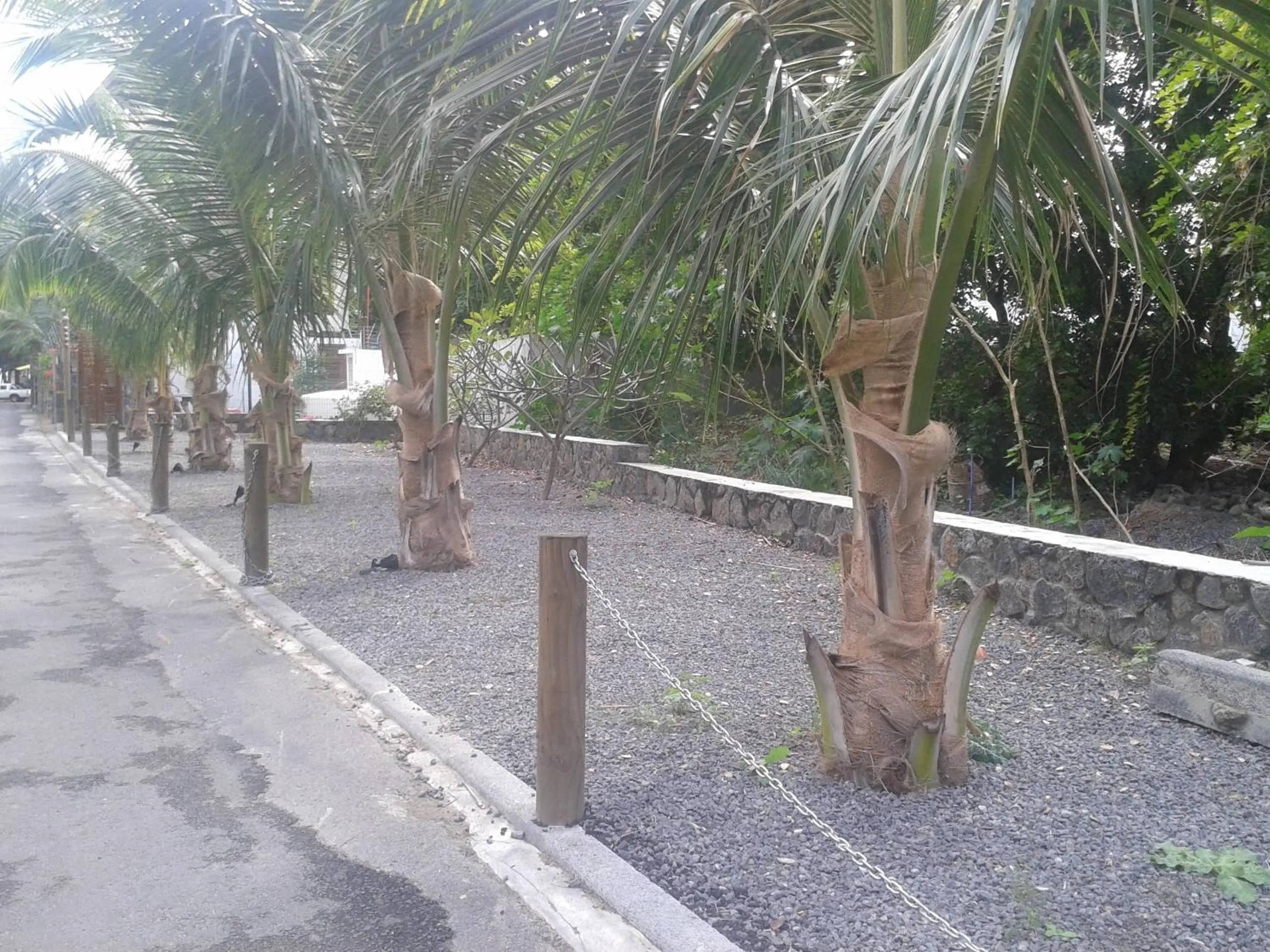 Street view in Dodola Lodge