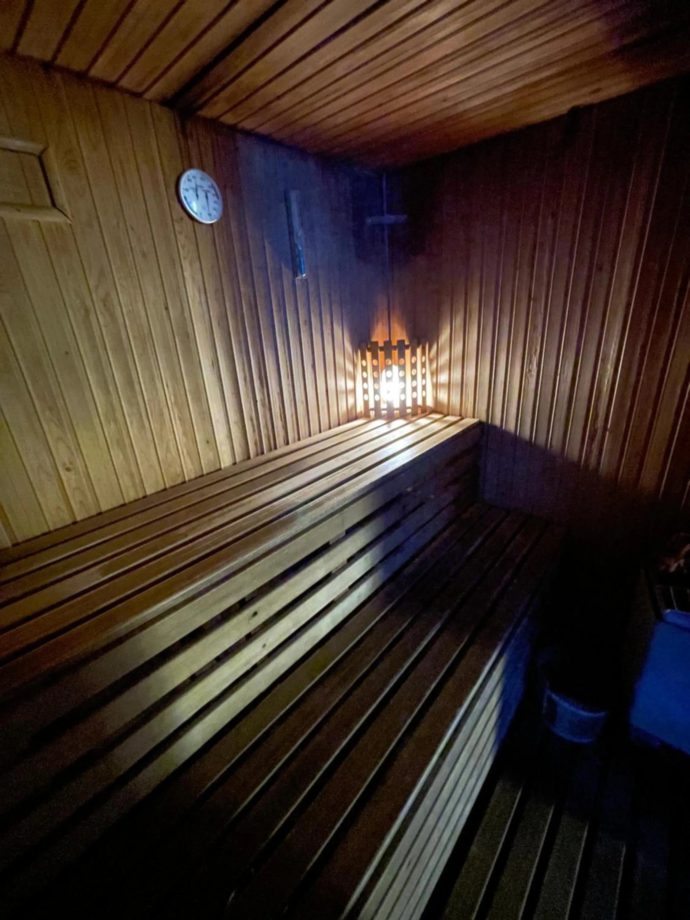 Sauna in Aparthotel Sant Andreu
