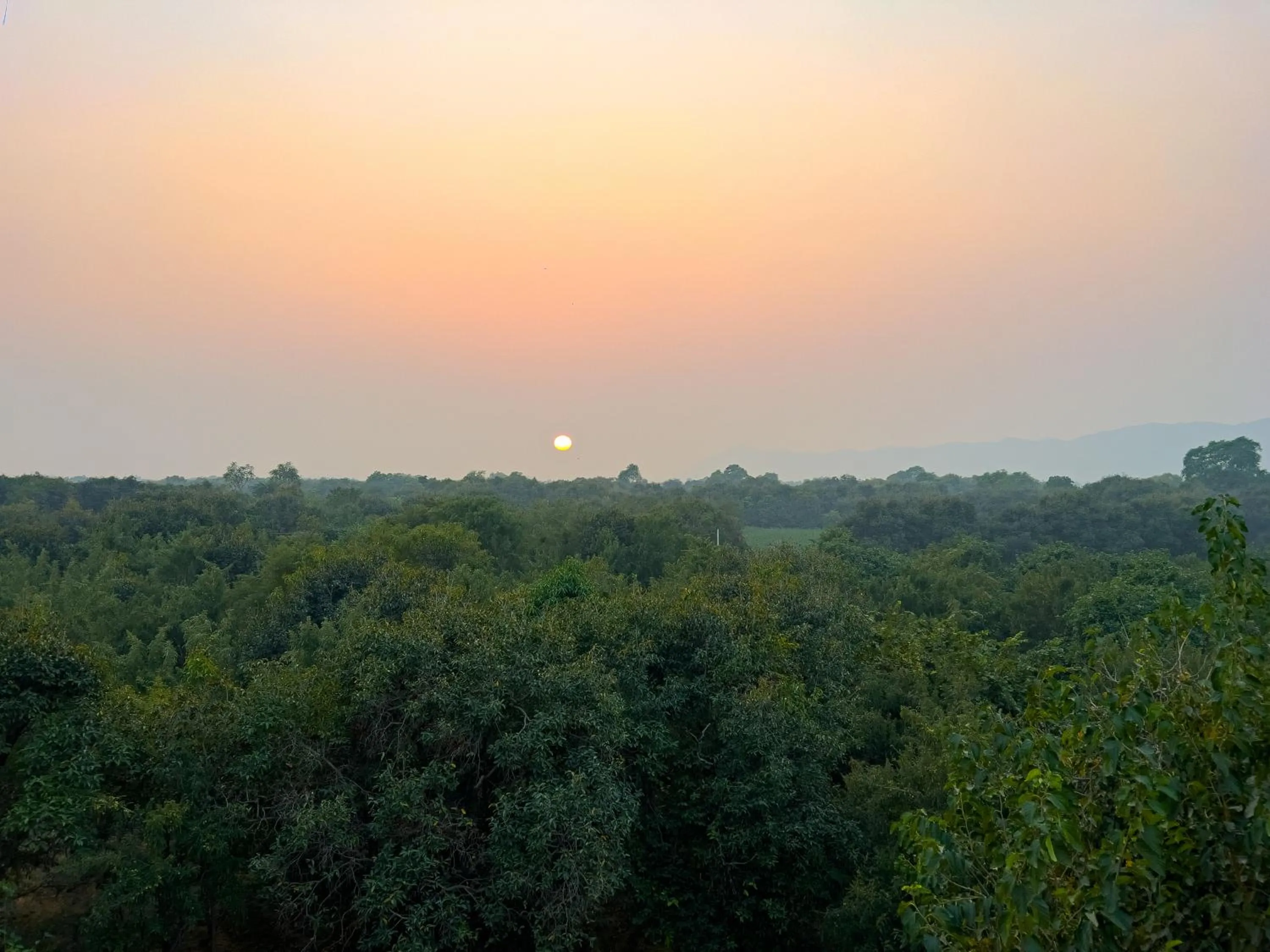 Day in Joy Bagh Resort Pushkar