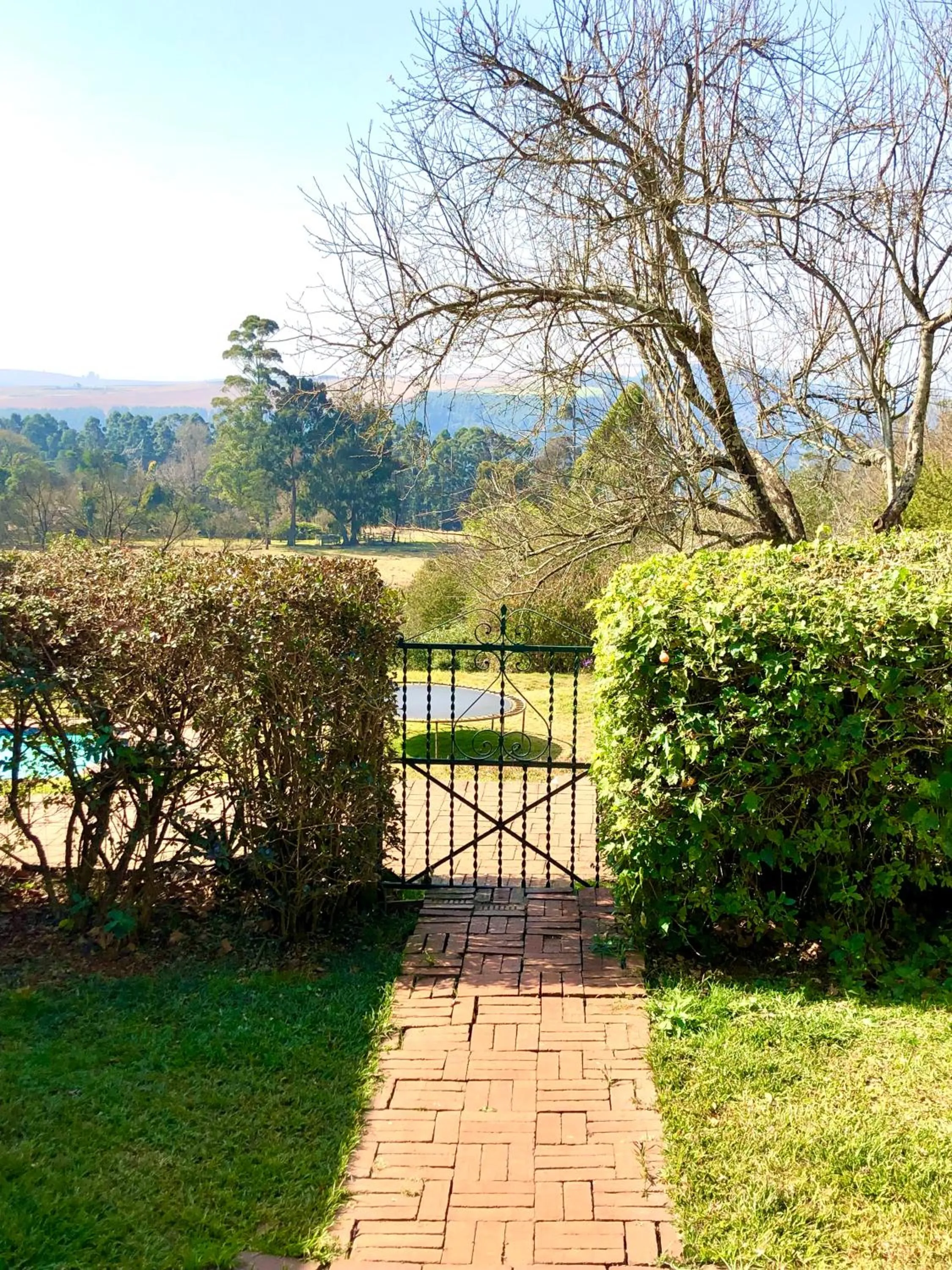 Garden in Gateside Guesthouse