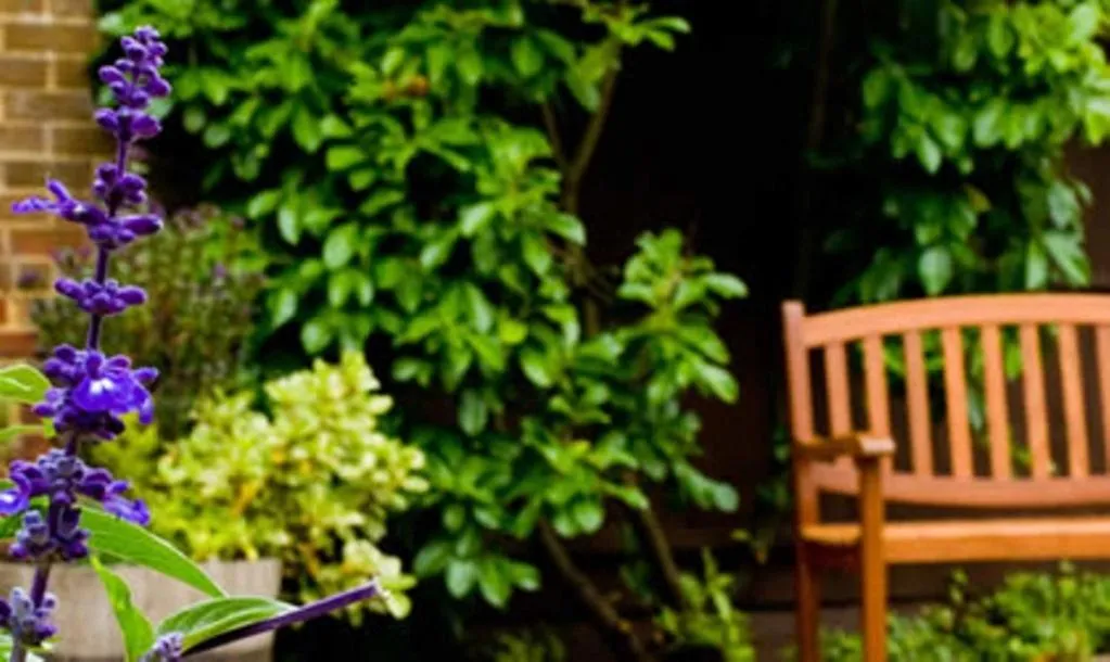 Garden in The Hickstead Hotel By Uno