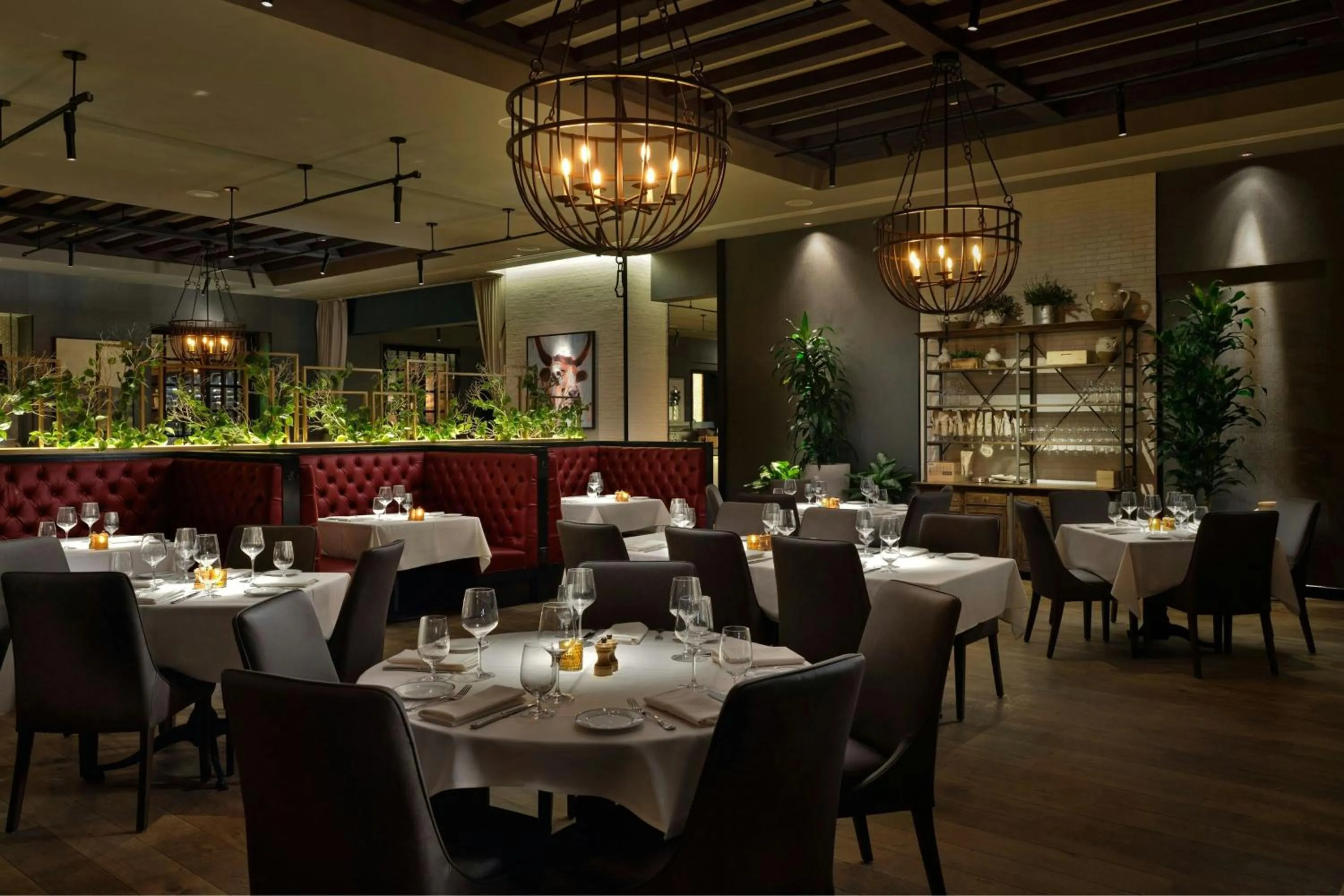 Restaurant/places to eat in JW Marriott Austin