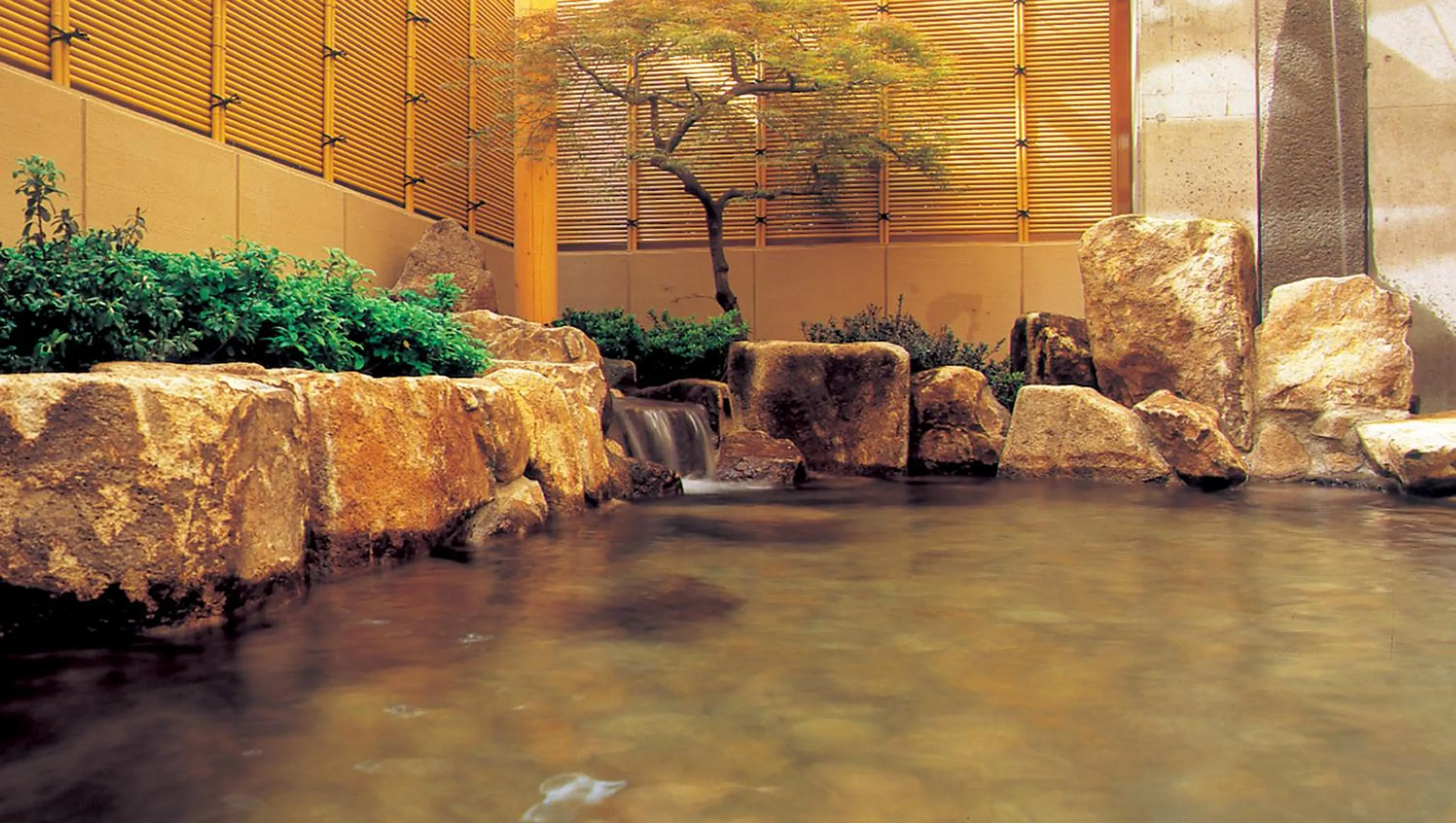 Hot Spring Bath in Hotel Hana Isawa