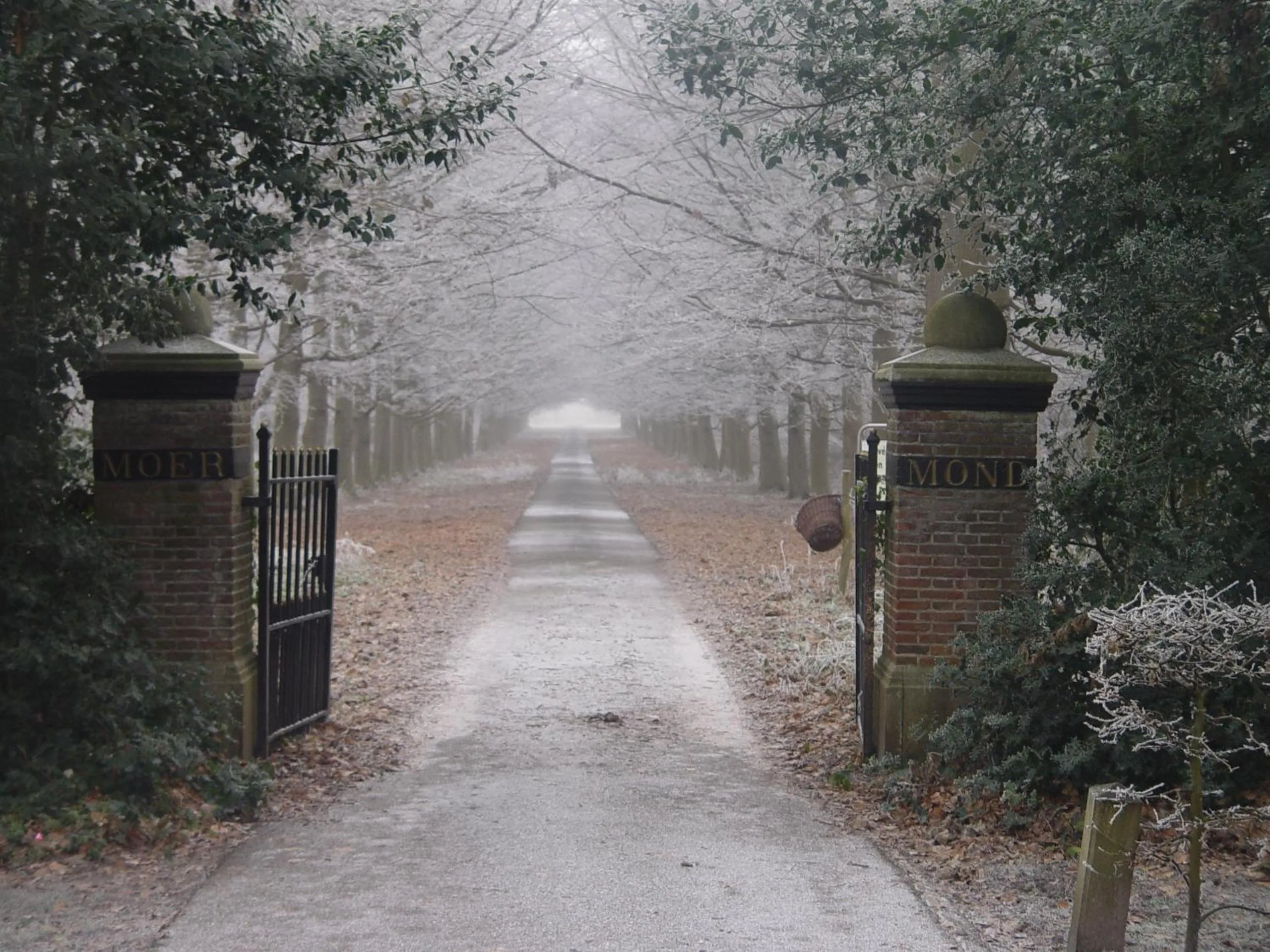 Area and facilities in Fletcher Landgoedhotel Renesse