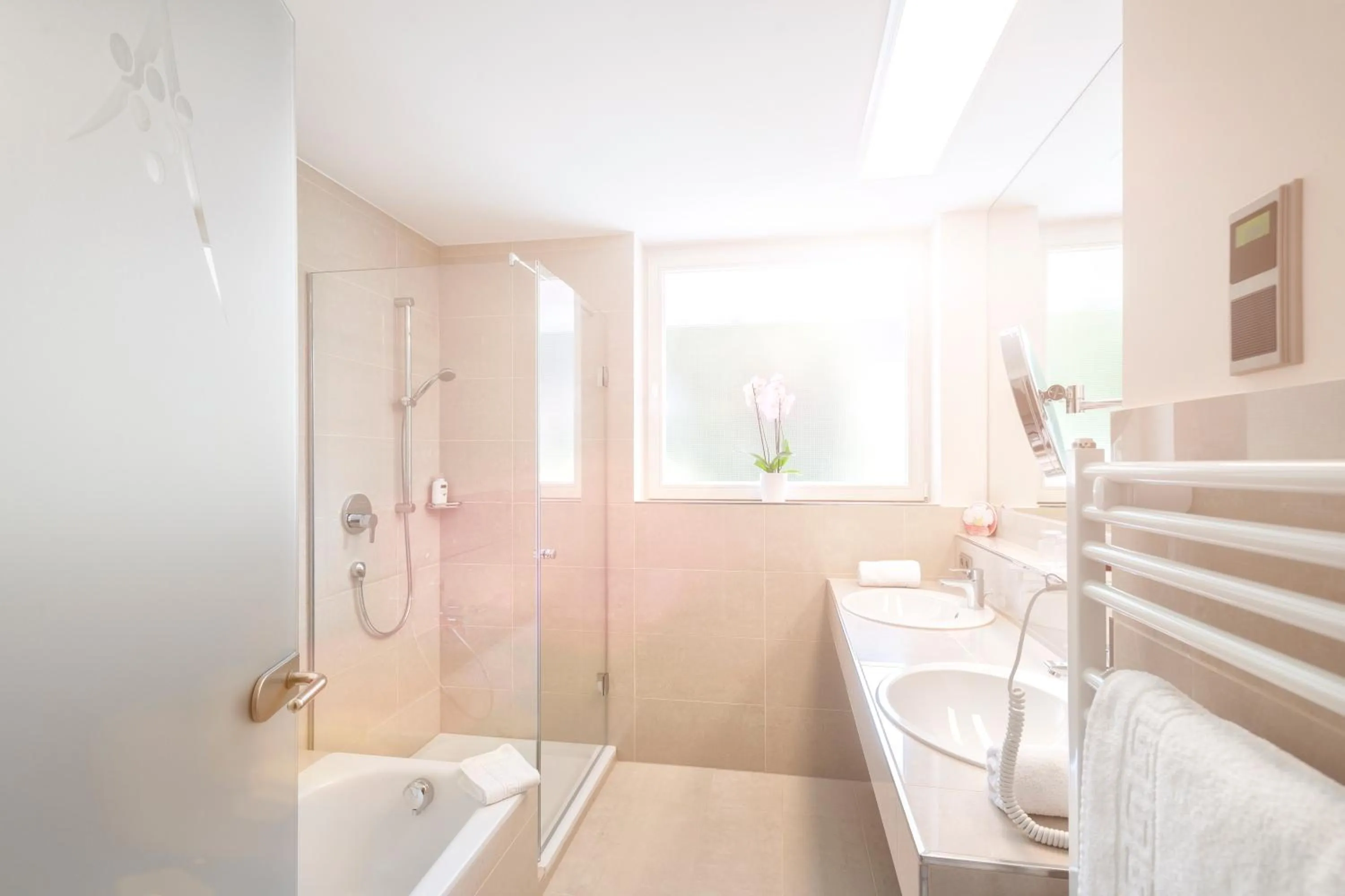 Bathroom in Hotel Traube Revital