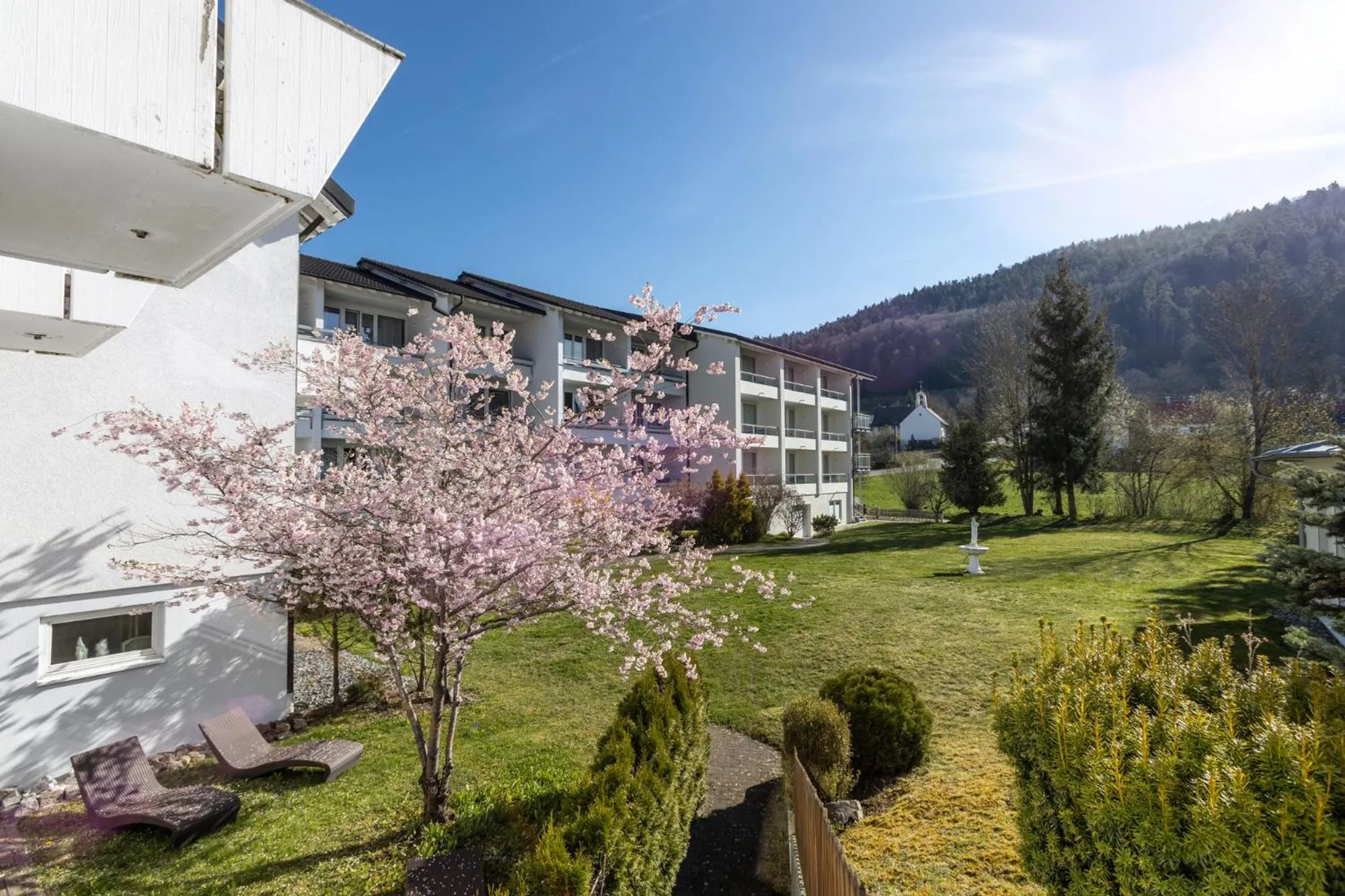 Garden in Hotel Traube Revital