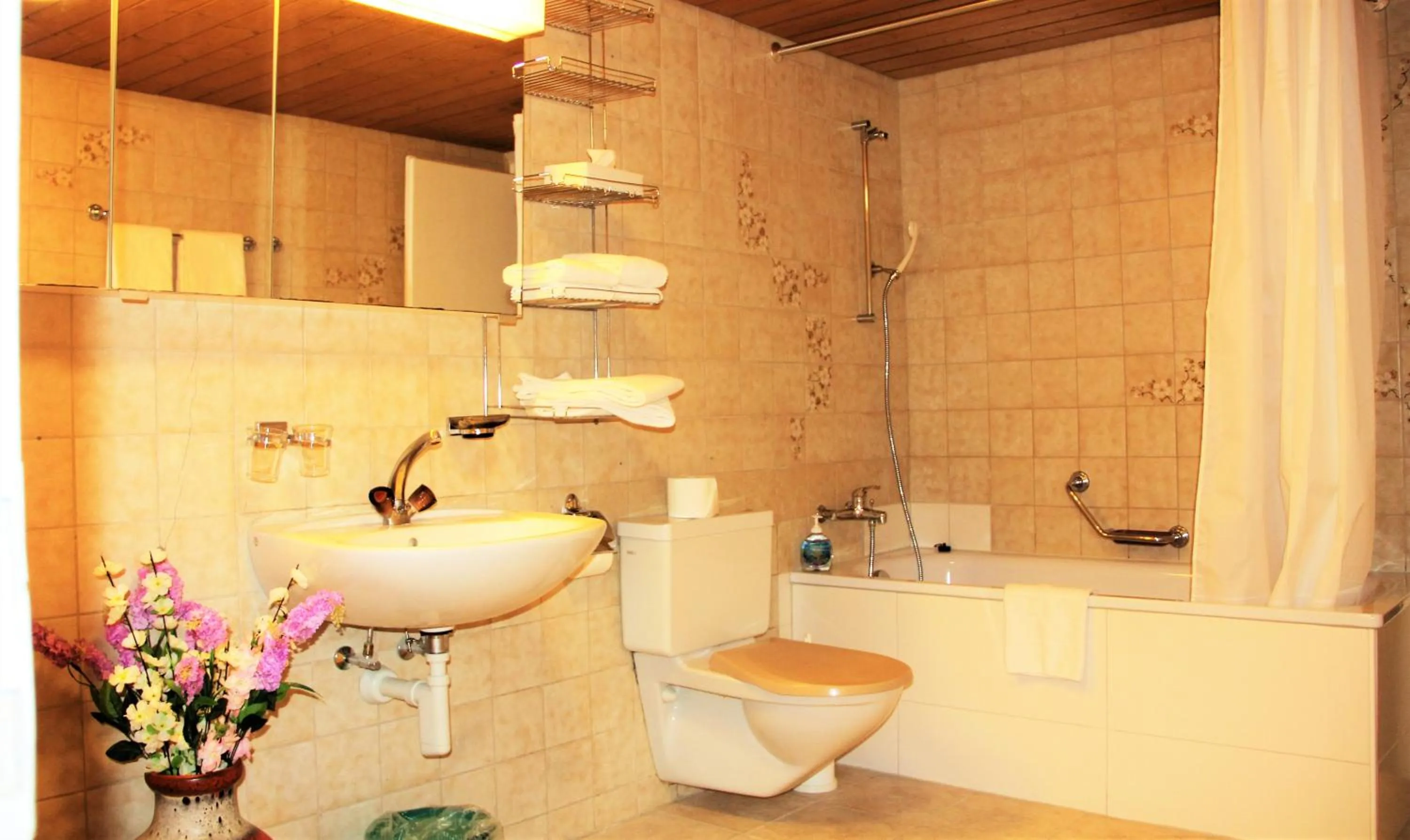 Toilet in Hotel Eigerblick