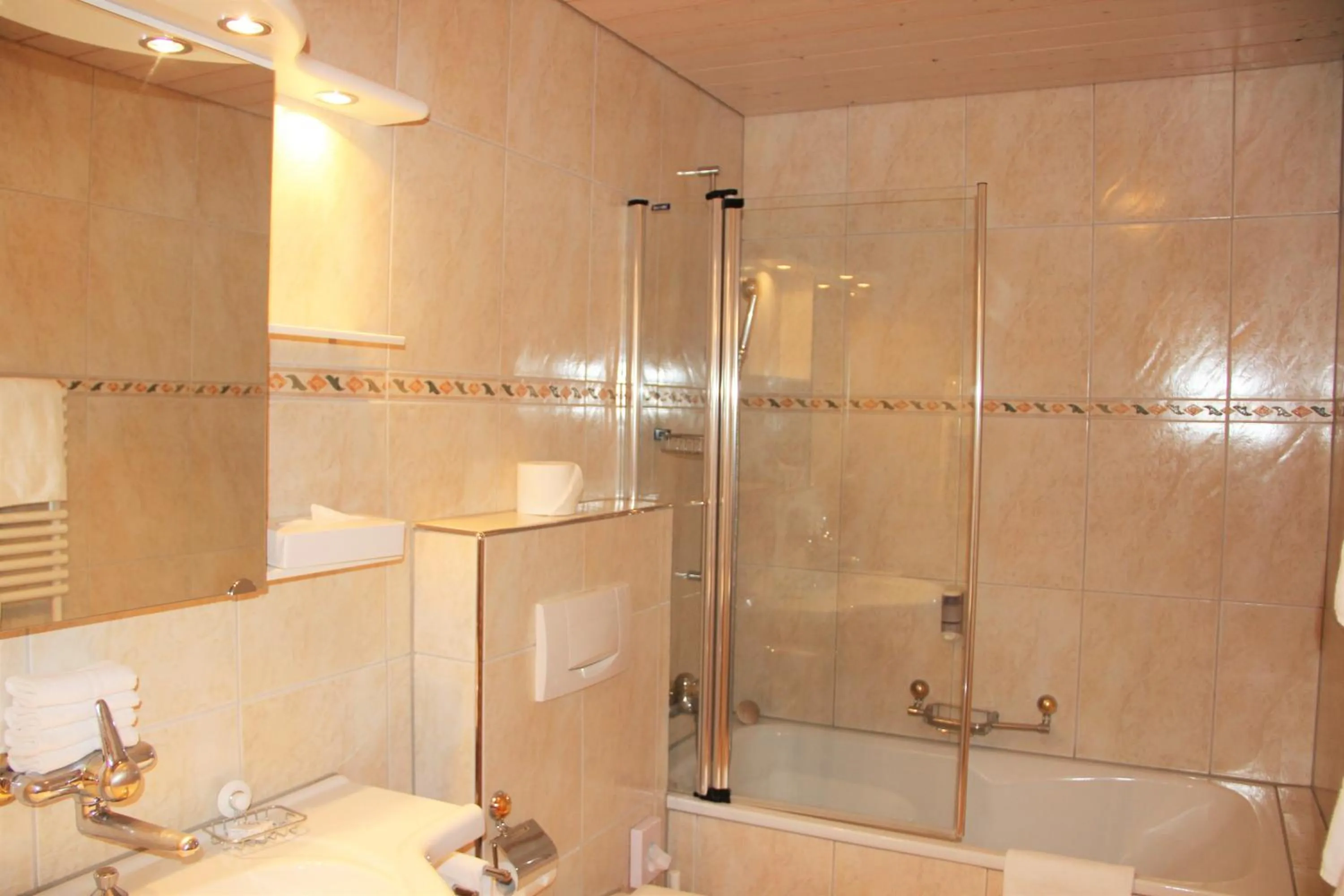 Bathroom in Hotel Eigerblick