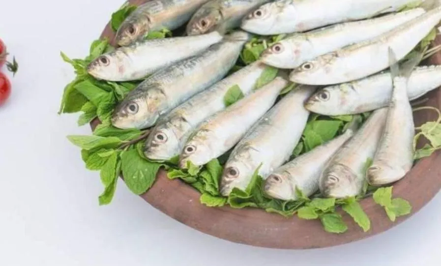 Dubai Hotel & Restaurant Kumarakom