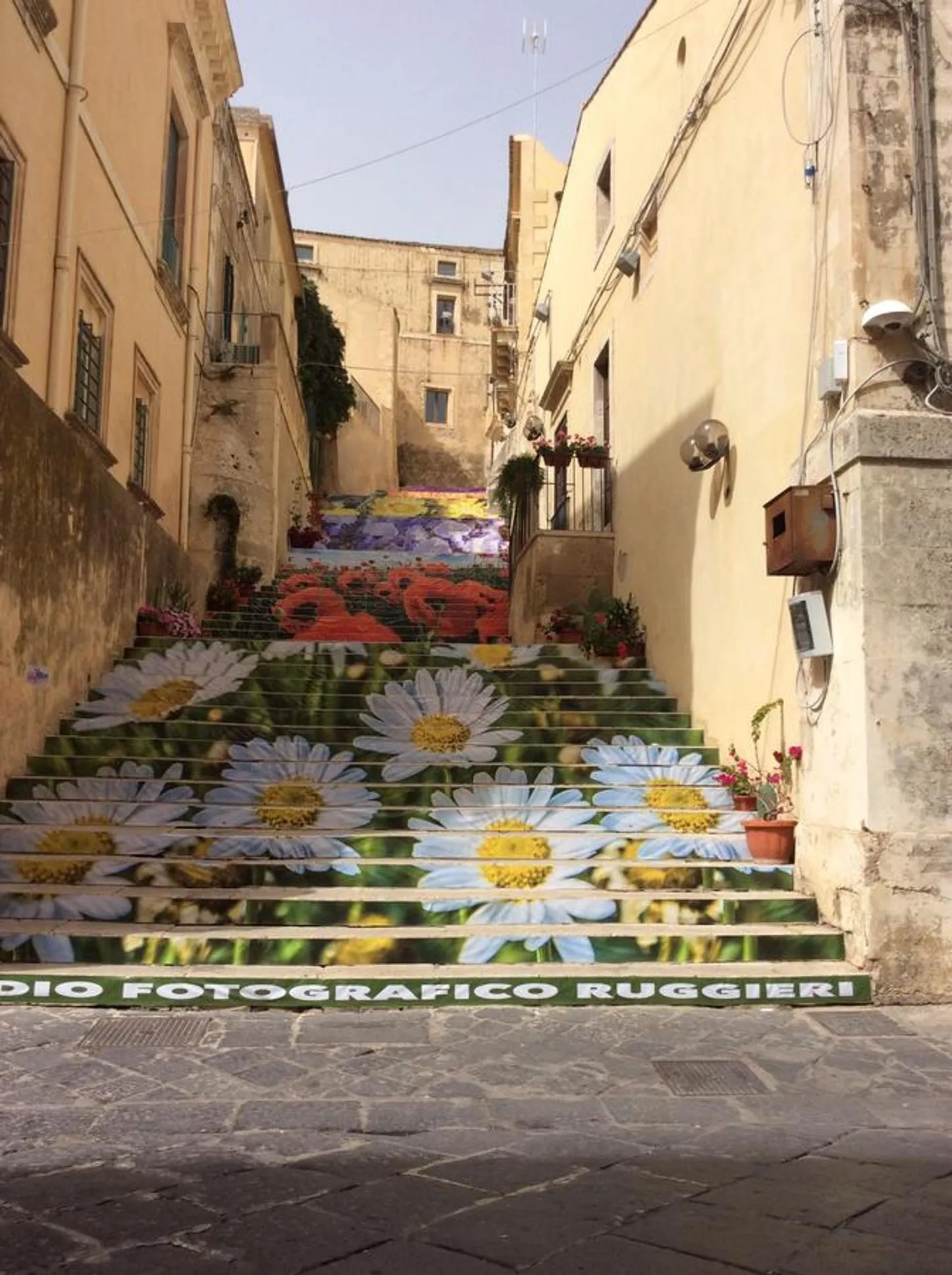 Property building in Casa Camelia